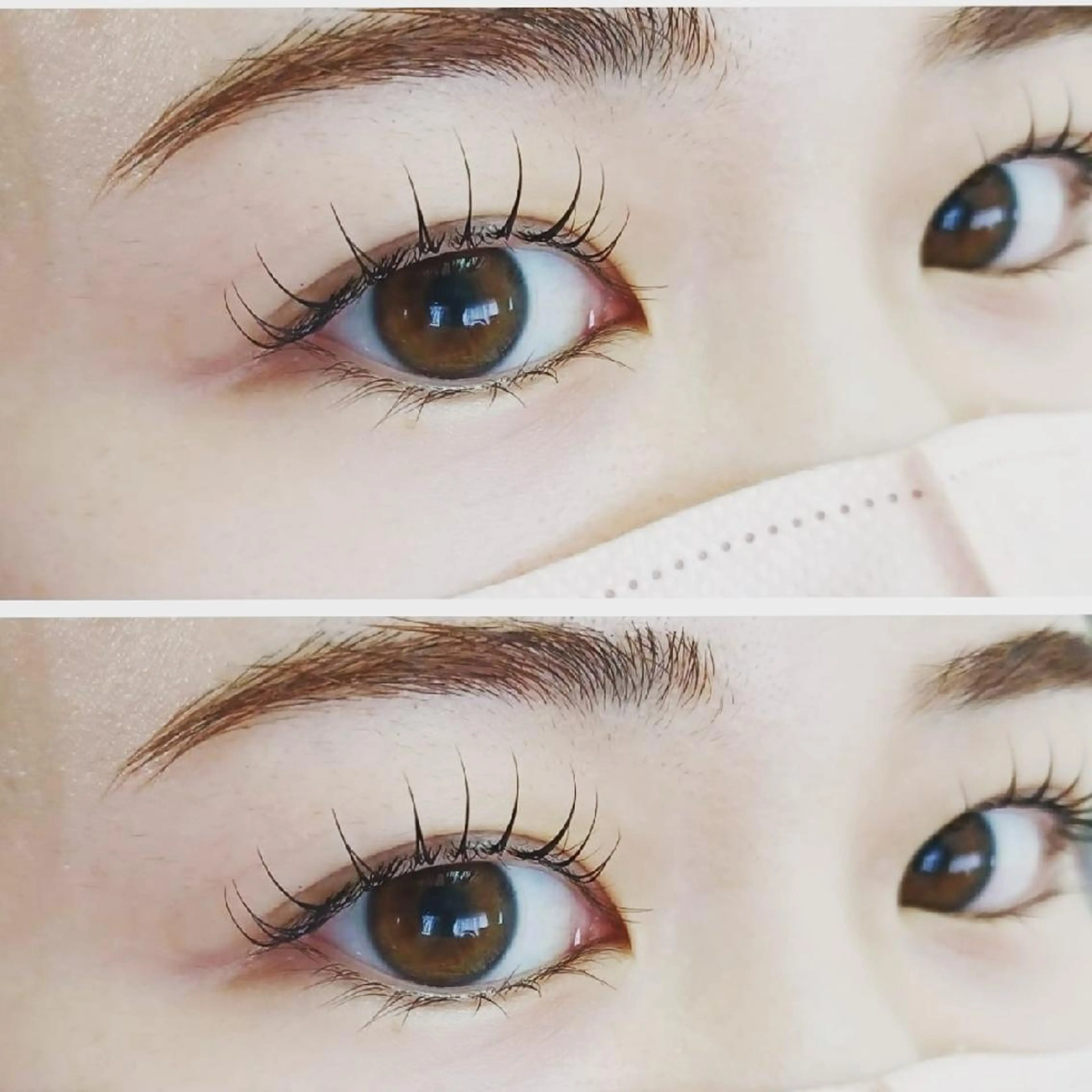 大好評♪アディクトカール美容液まつぱ(アイシャンプー&美容液コーティング付き)の写真