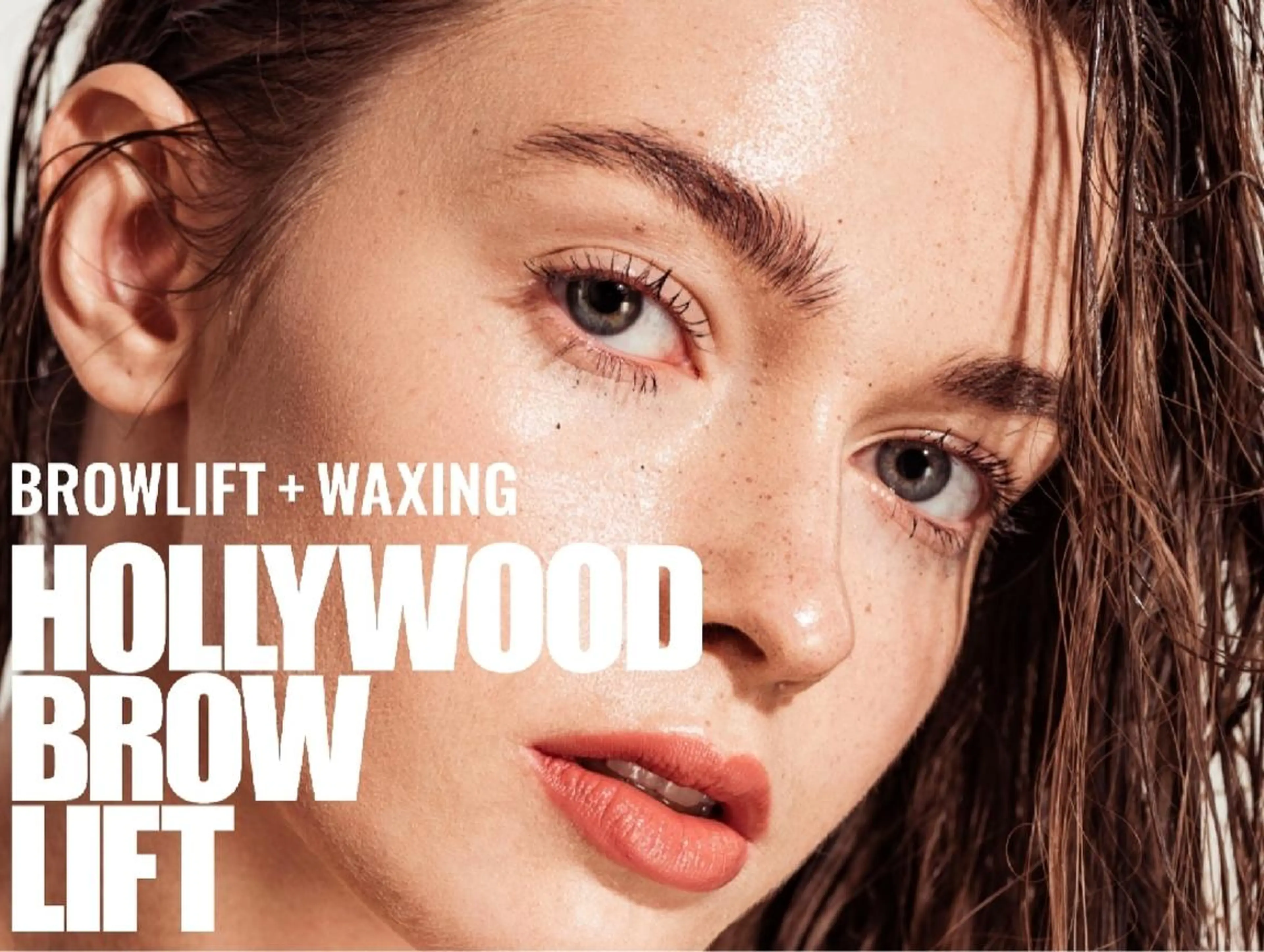 【ハリウッドブロウリフト】HBL   次世代アイブロウの写真