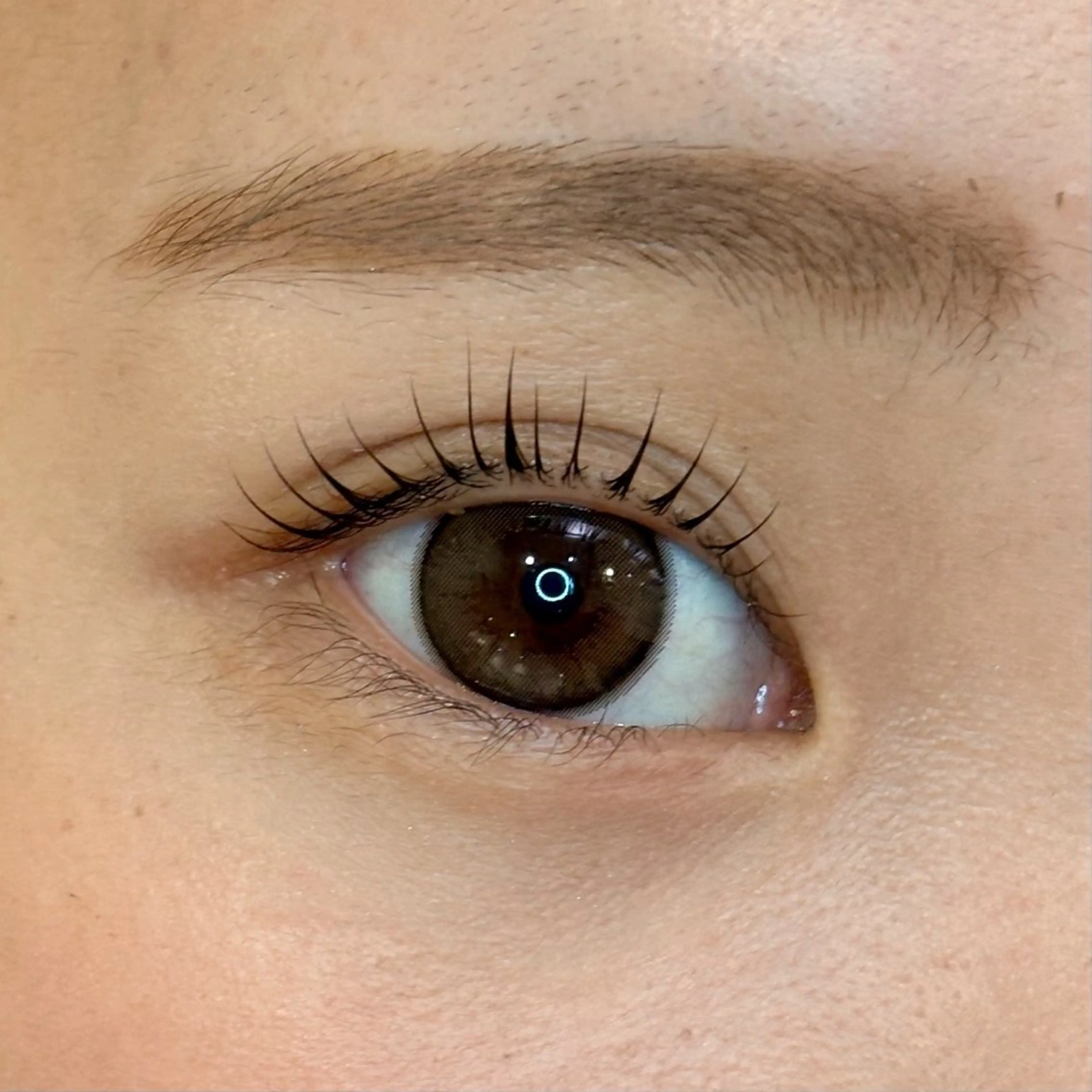 マツエク・マツパ Shelly Garden所属・kana🎀まつぱ/ ハーブピーリングの眉毛・アイブロウイメージ