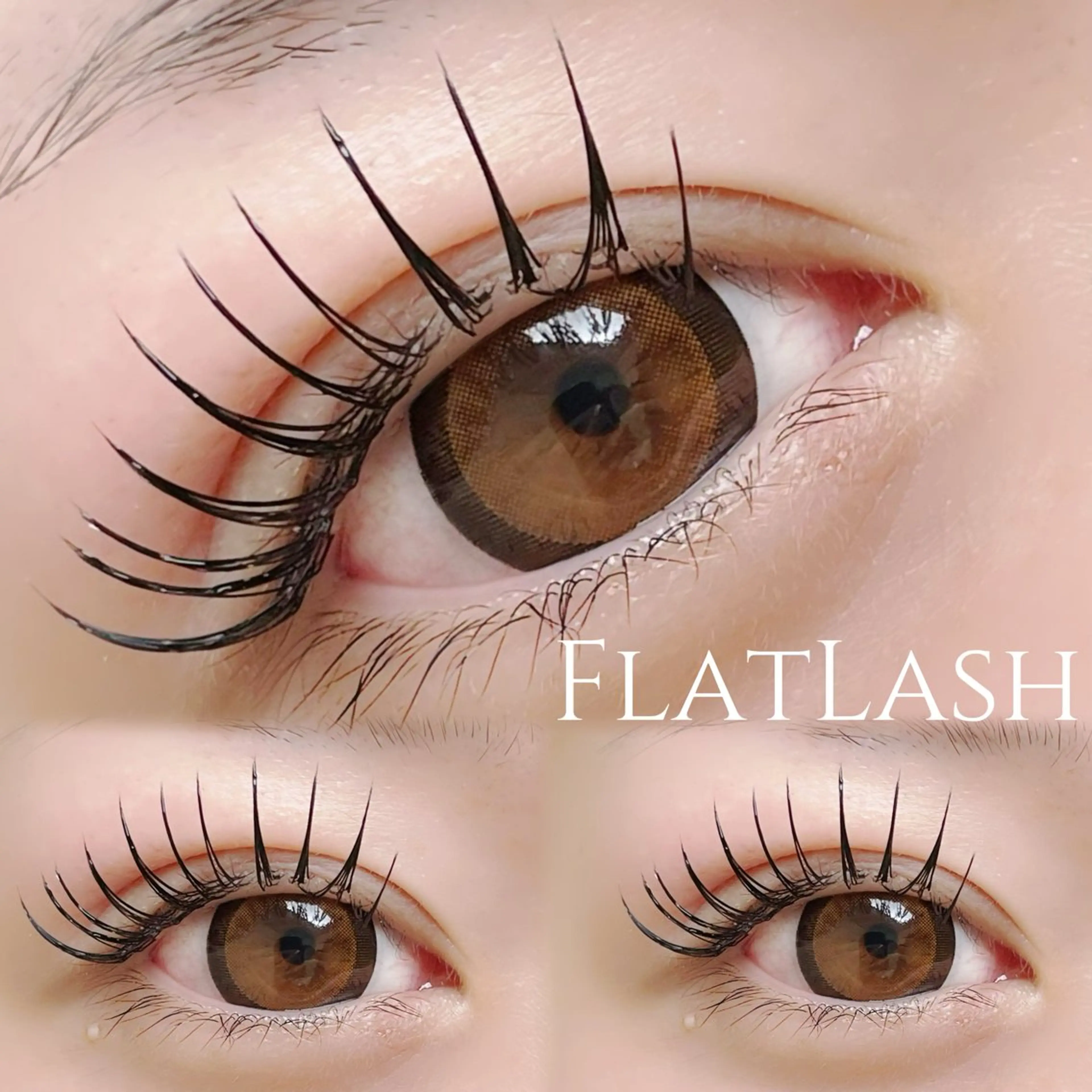 フラットラッシュ付け放題🌱通常料金が9000円のところ↓の写真