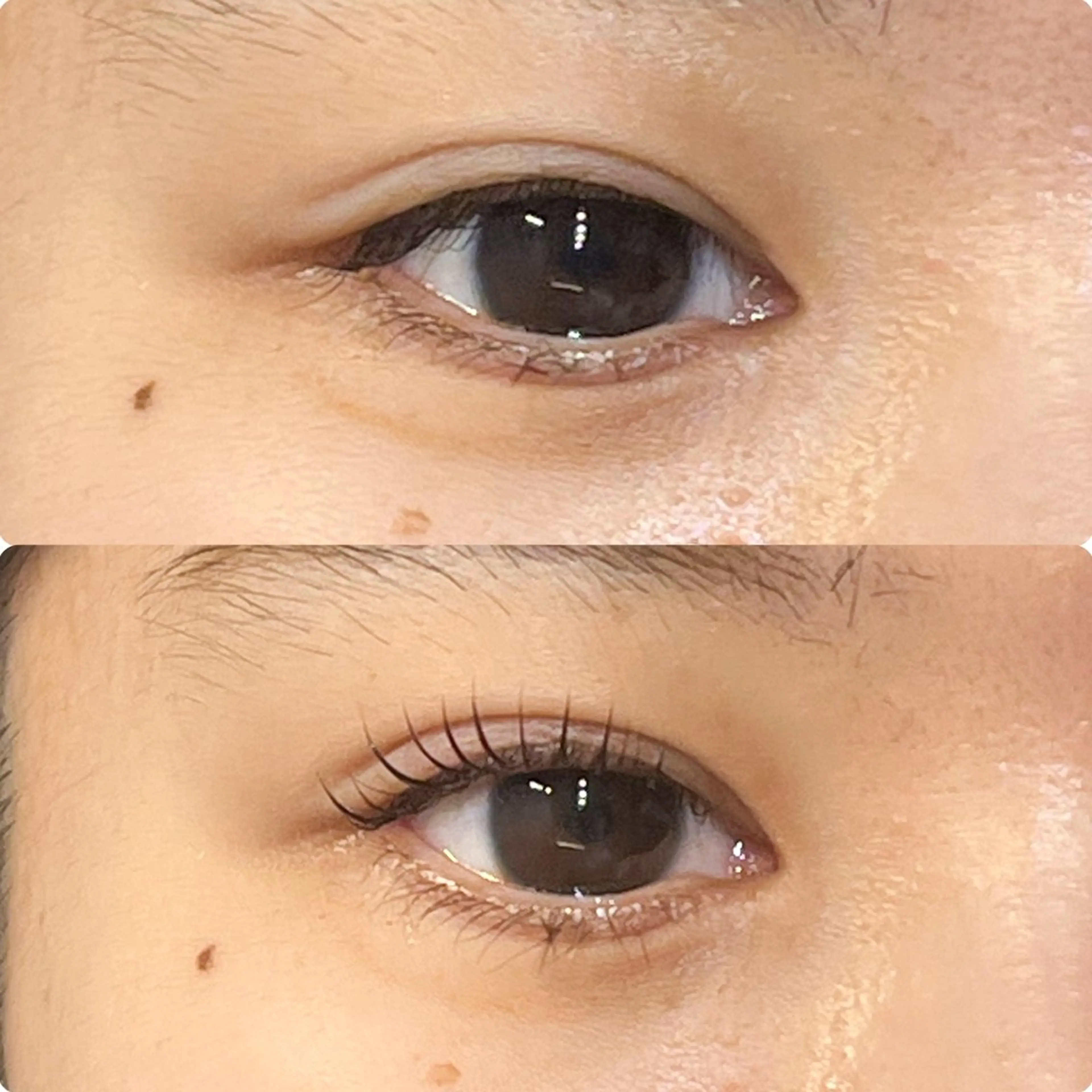 マツエク・マツパ 仙台/束感まつげ💐 🎀Mizukiのマツエク・マツパデザイン