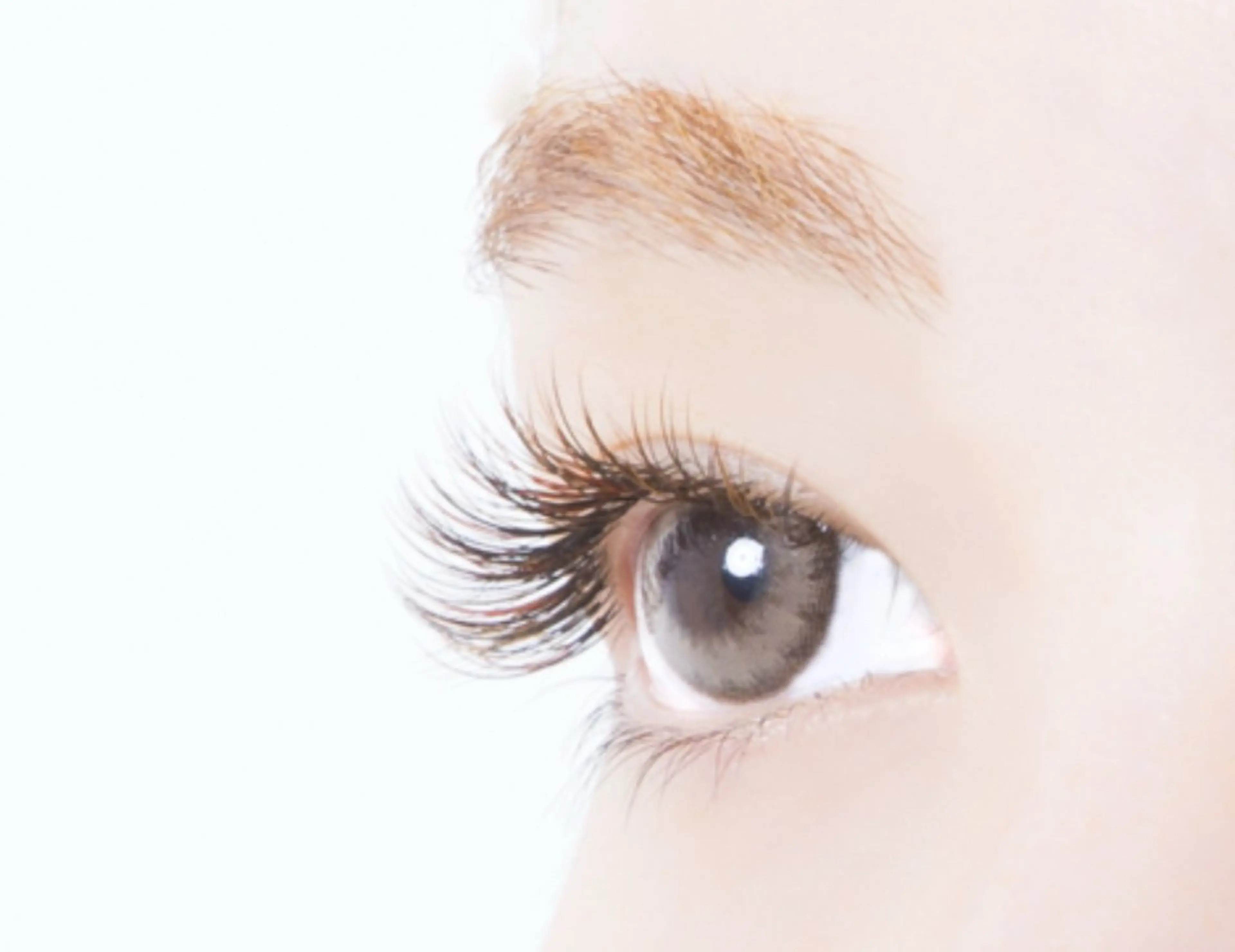 マツエク・マツパ LC Ishiiのマツエク・マツパデザイン