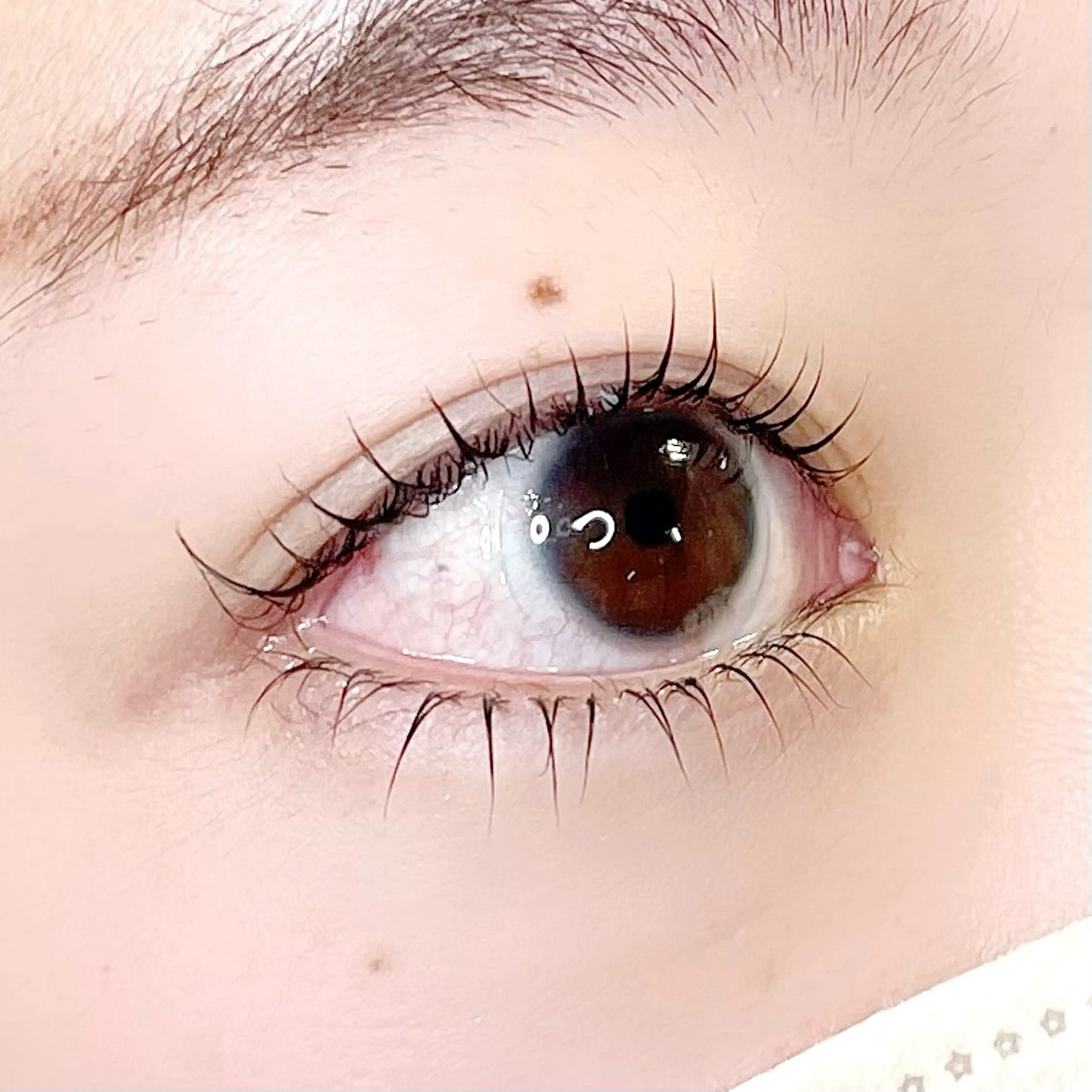 マツエク・マツパ まつげパーマ 下まつげエクステ イワイ こはるの眉毛・アイブロウイメージ