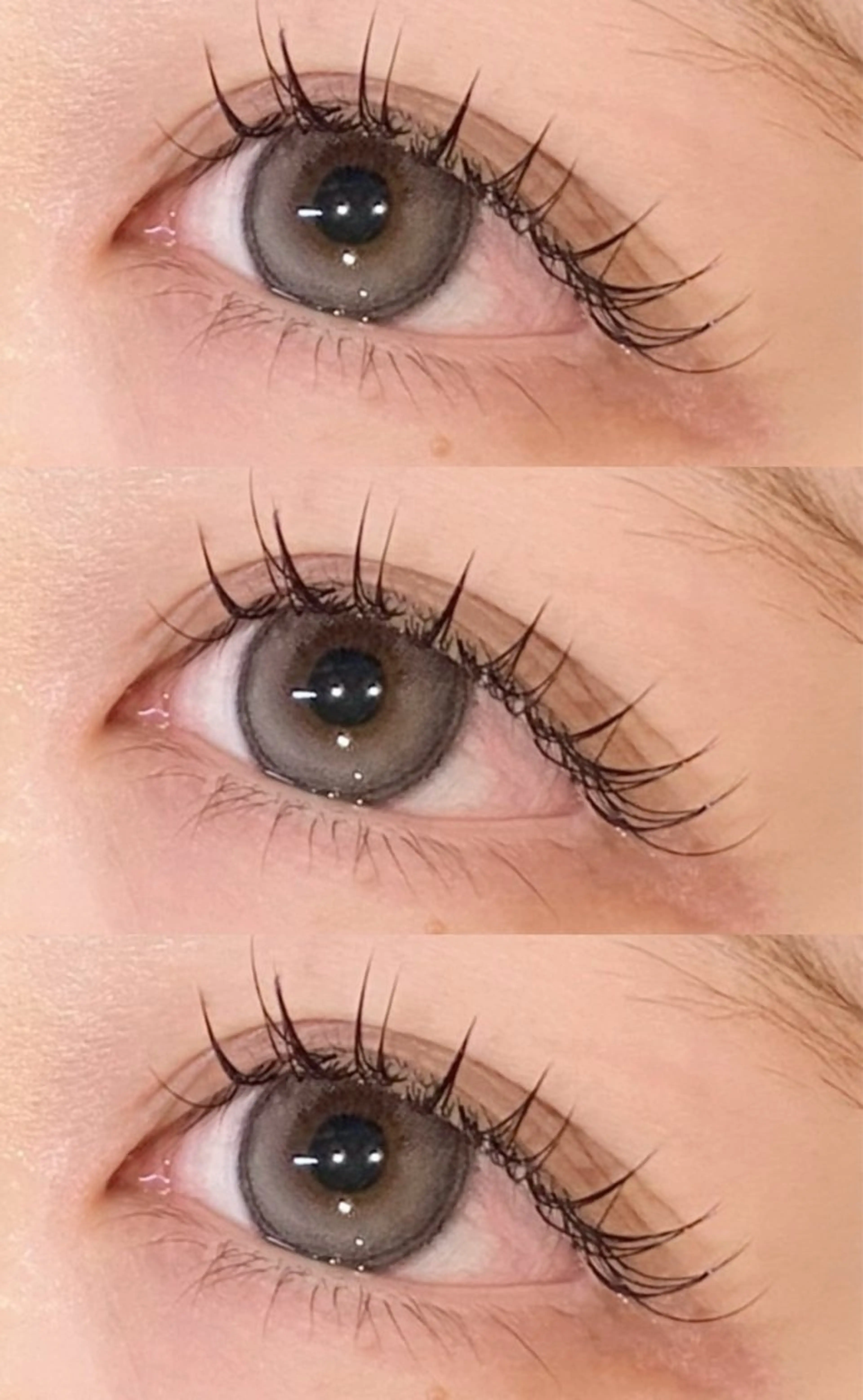 フラットラッシュ🎀160本(オフ込み、コーティング付き)の写真