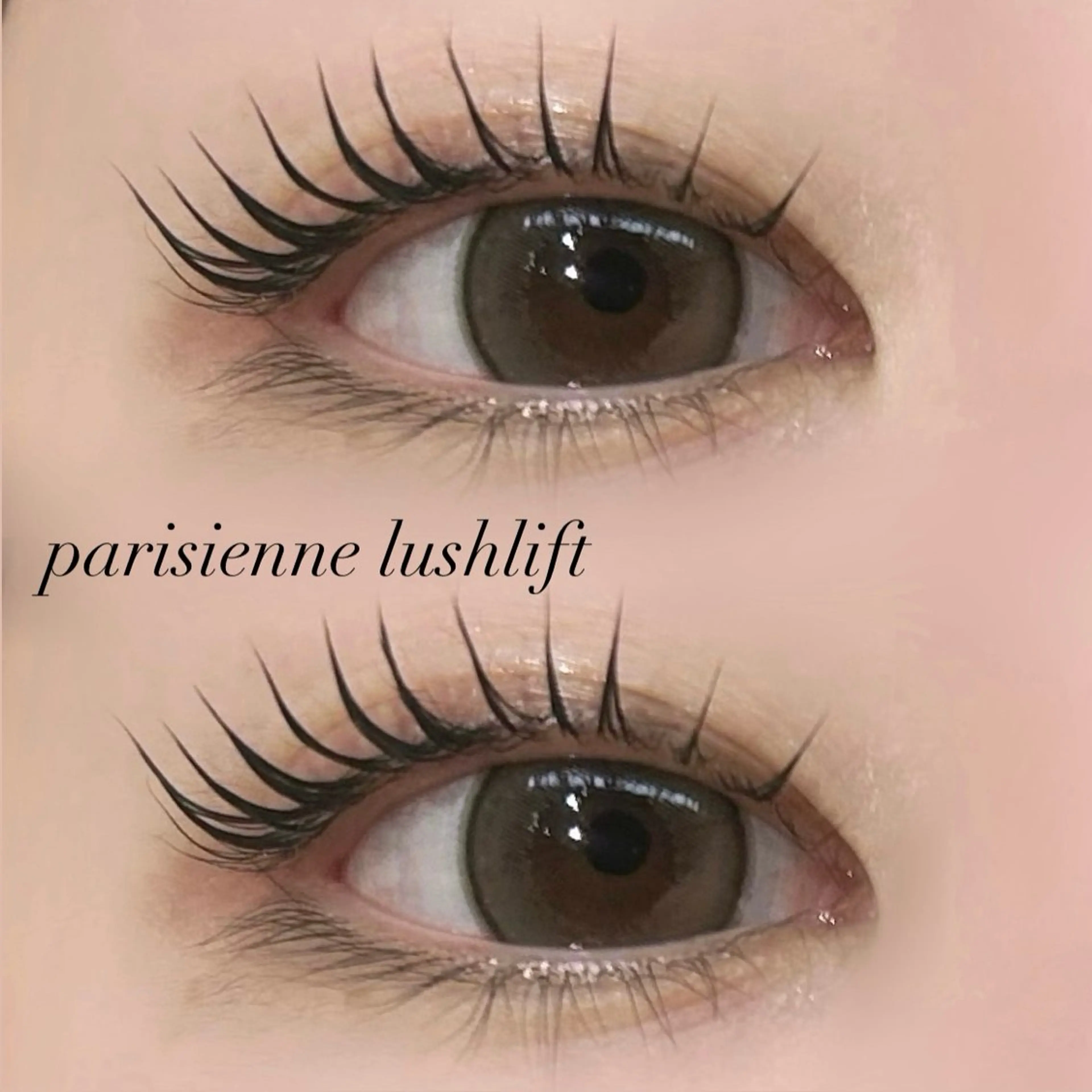 🩵ミニモ限定🩵ラッシュリフトorパリジェンヌ🫧の写真