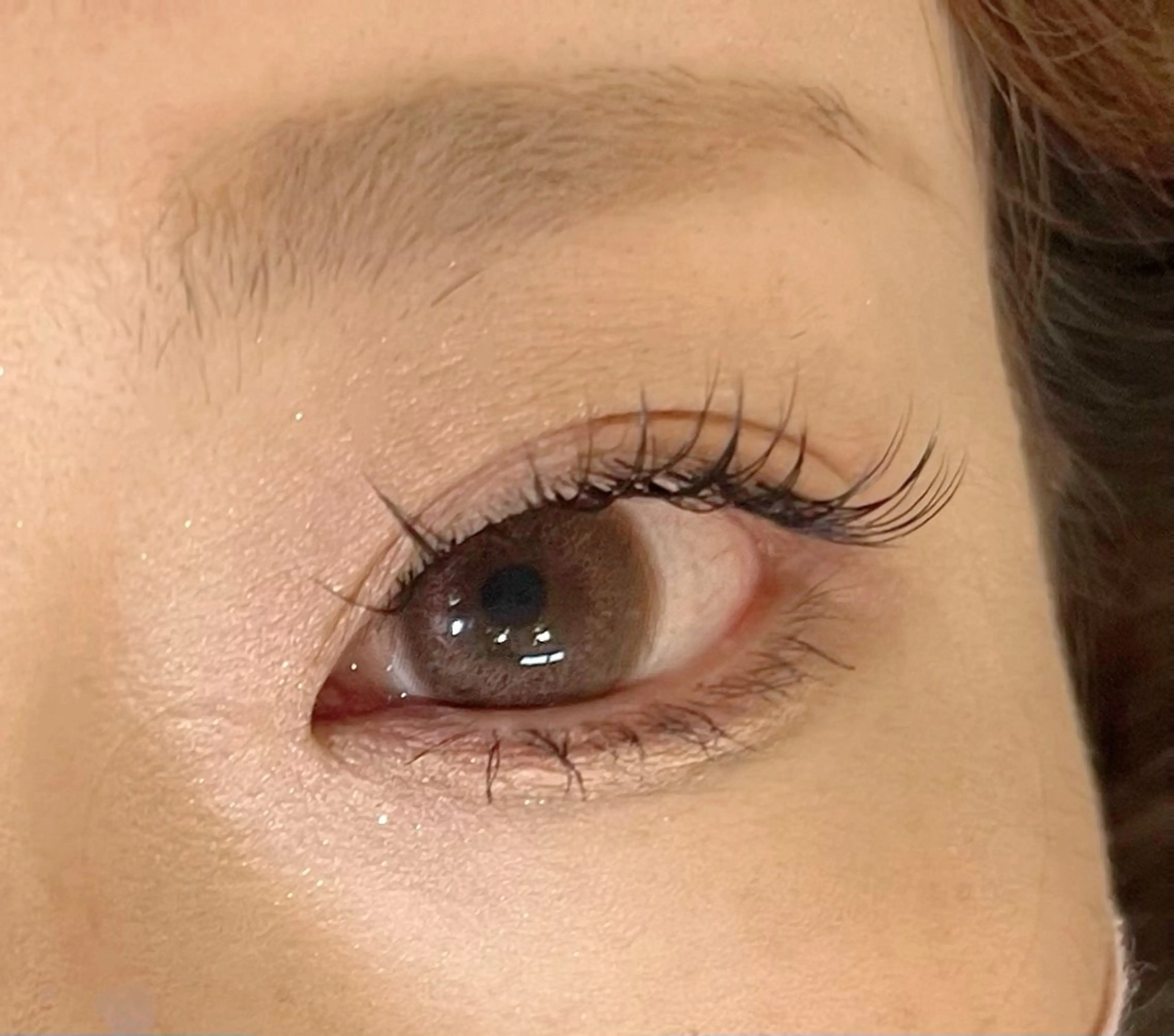 フラットマットラッシュ　100本の写真