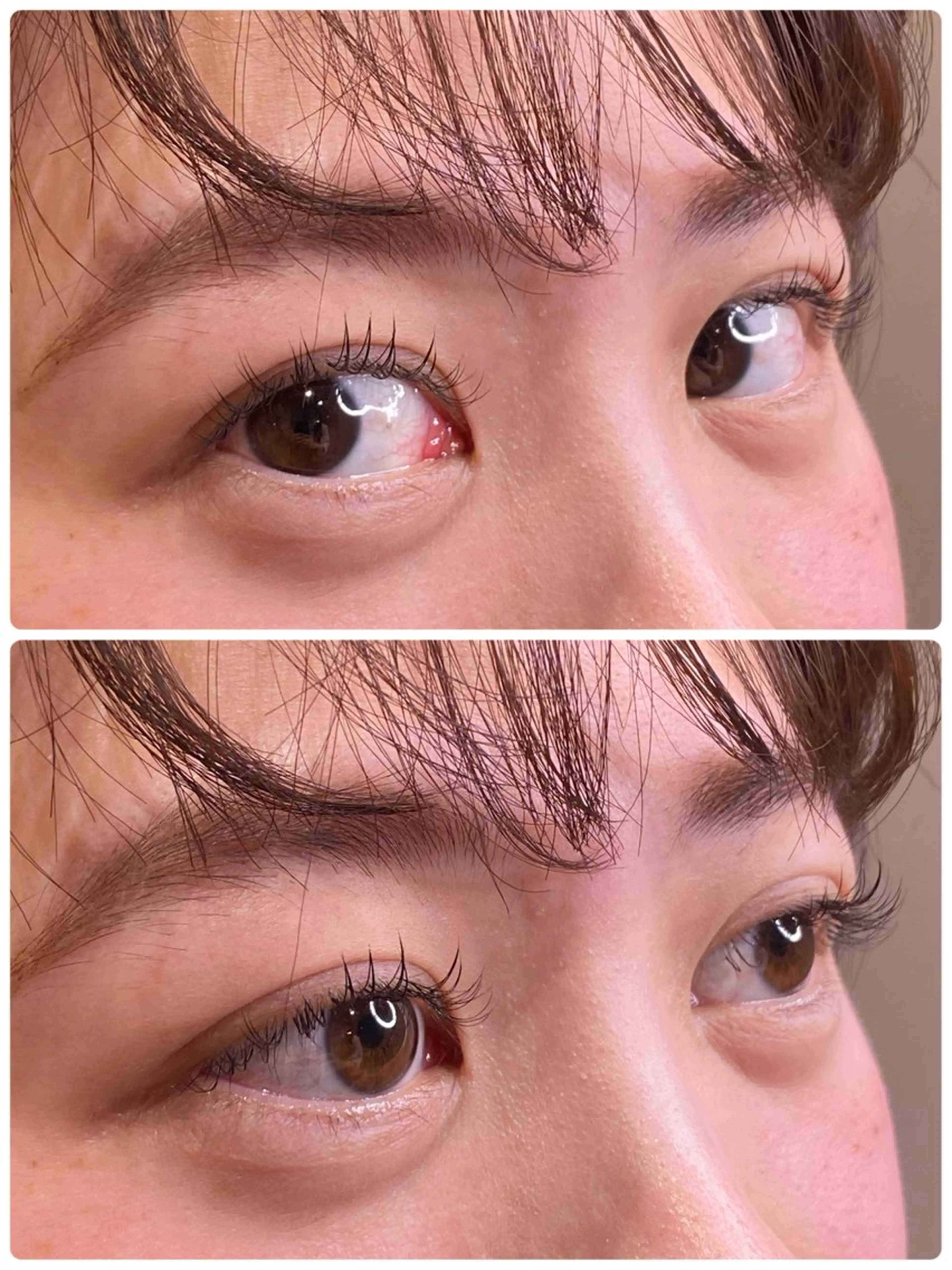 マツエク・マツパ ＯＲ　オア所属・【ORオア】 MoMoのマツエク・マツパデザイン