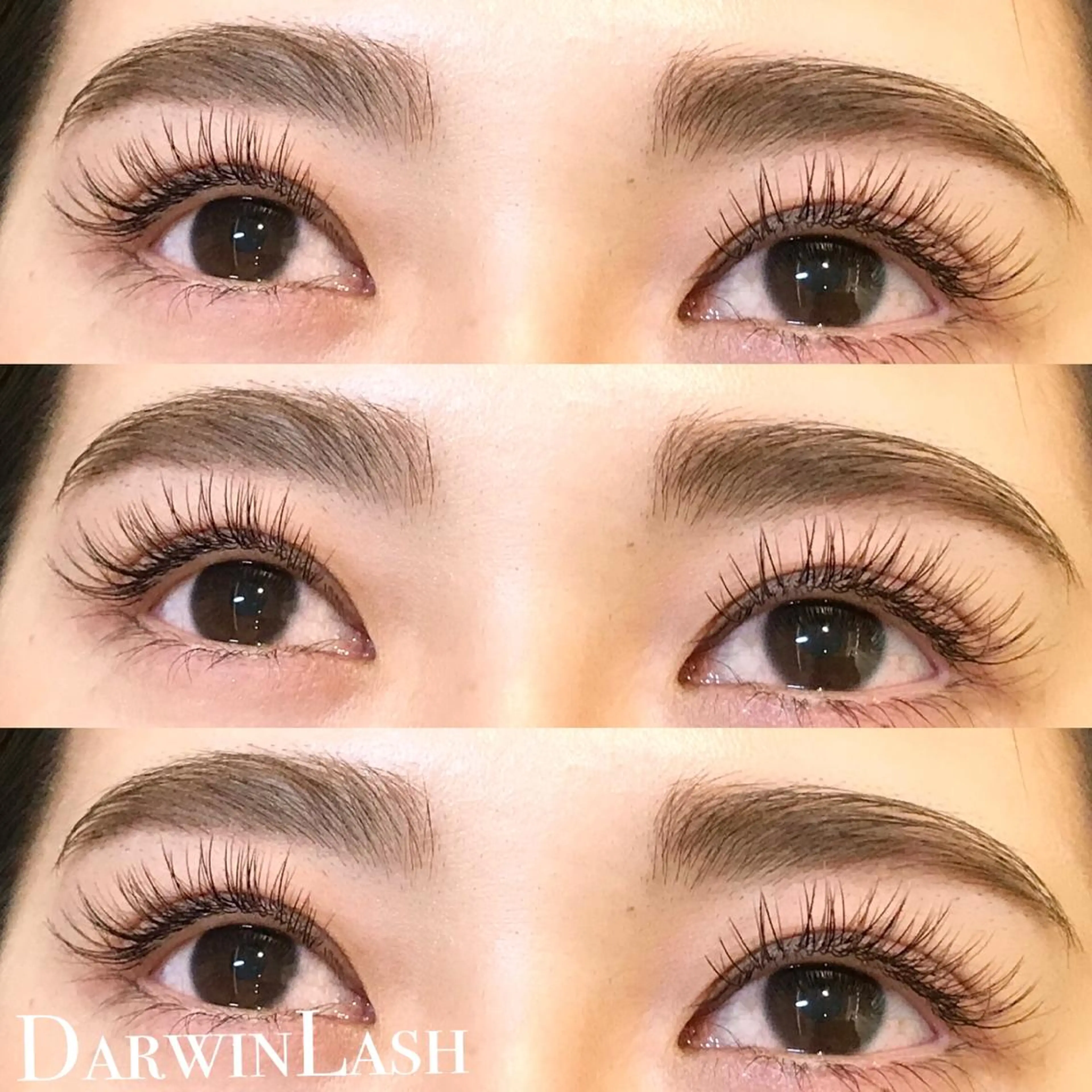 マツエク・マツパ まつげと眉毛のお店Sakura Lash【サクララッシュ】所属・【ダメージケア特化】 🌸 サクララッシュの眉毛・アイブロウイメージ