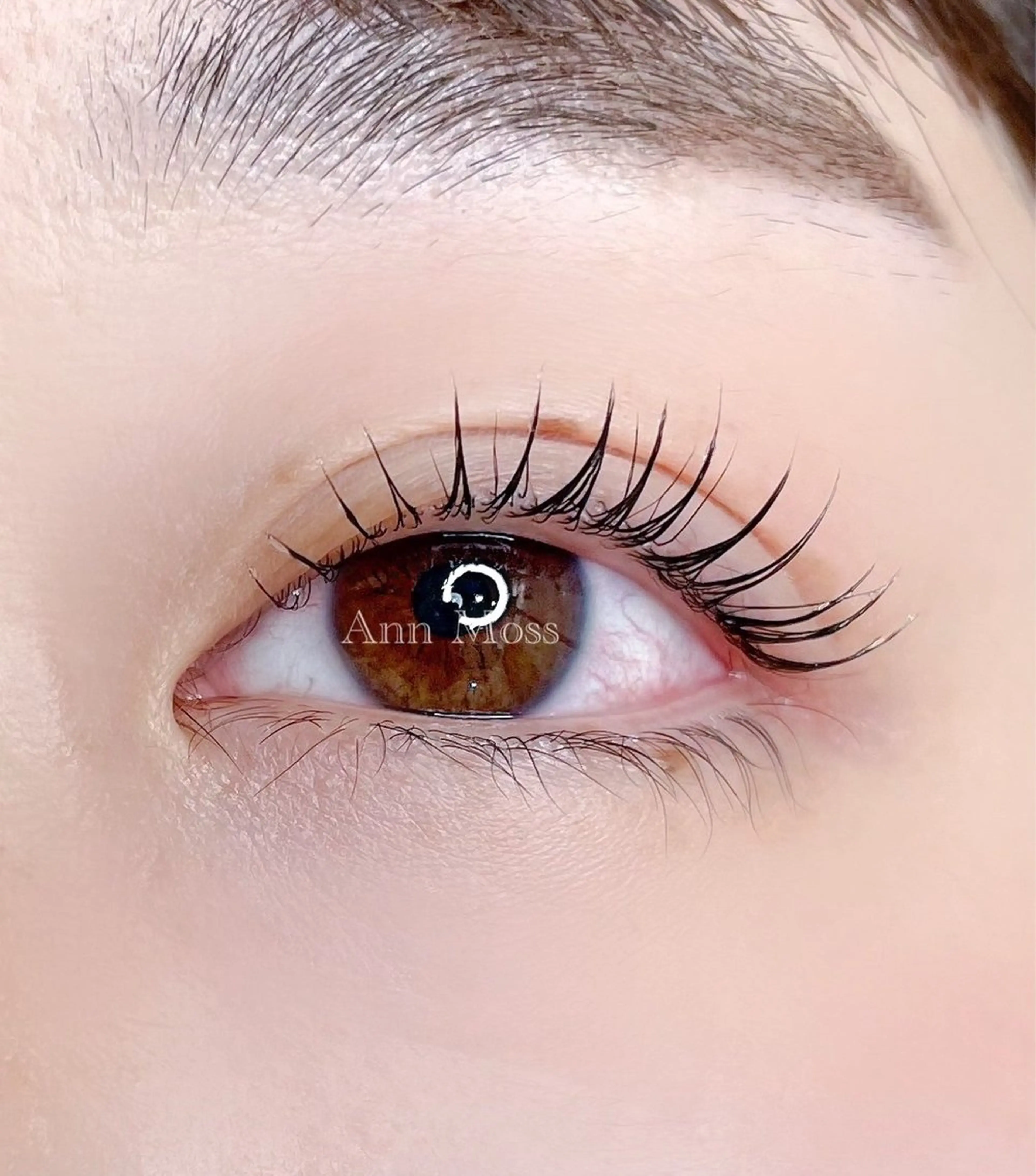 ミニモ限定🌿OPEN記念価格【マスカラパーマ】最先端ラッシュリフト(上)×黒ティント¥9000→¥5600の写真