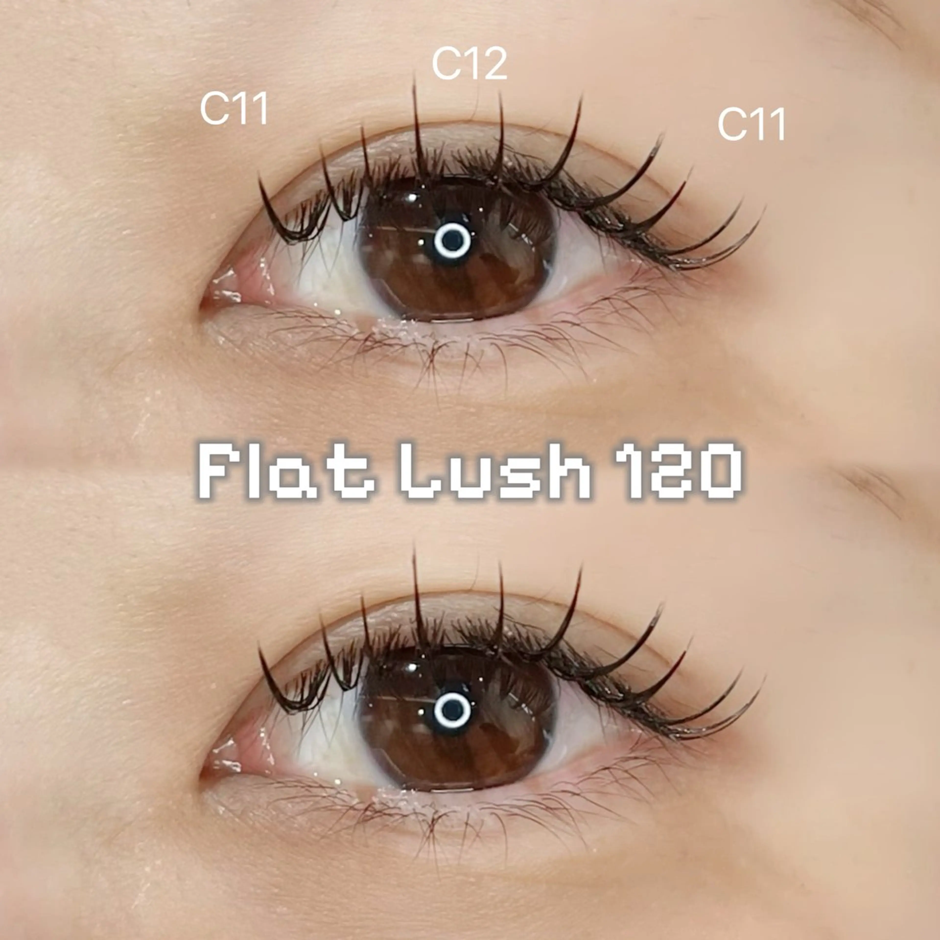 高持続⭐️フラットラッシュ120本(再来+330円)の写真