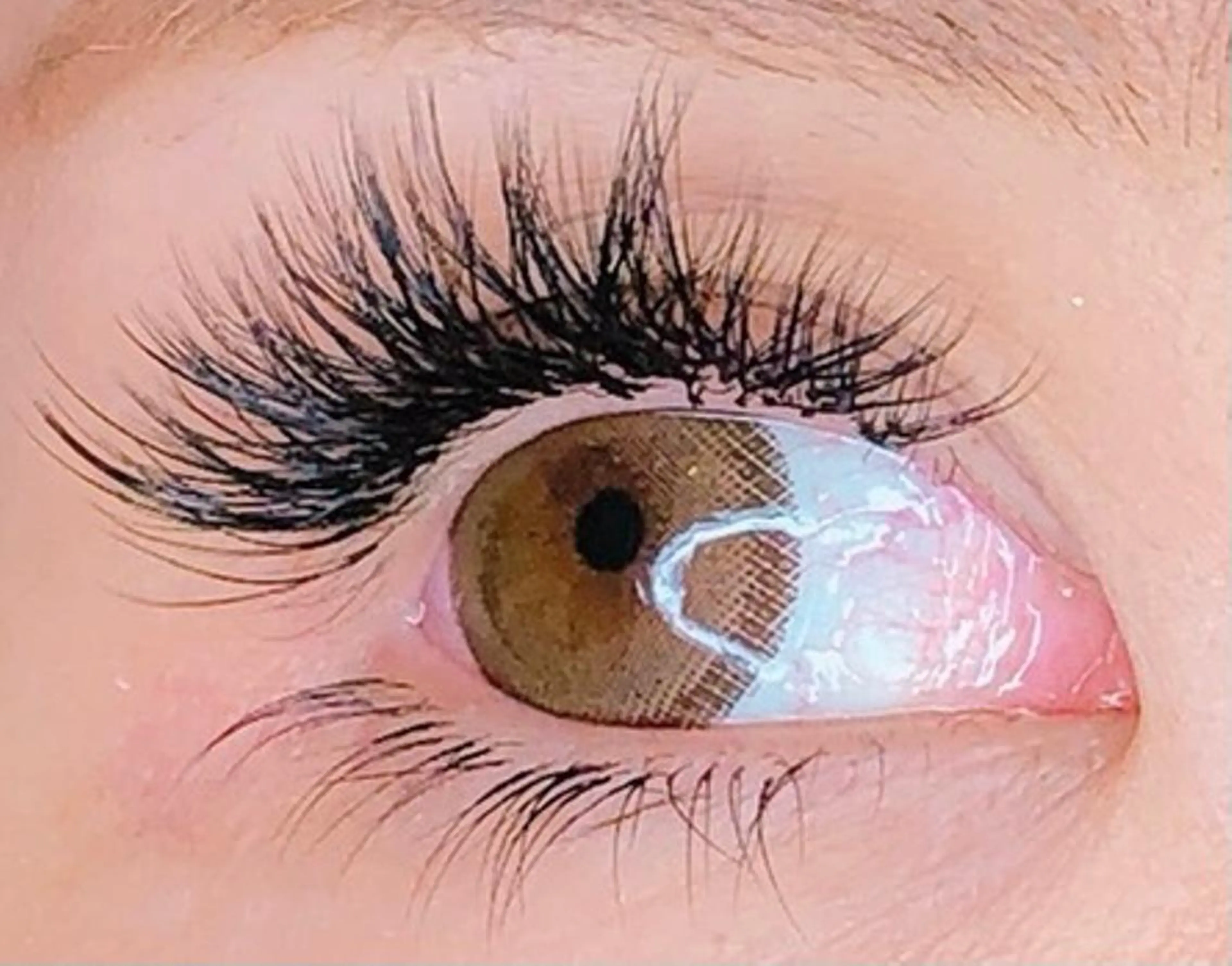 マツエク・マツパ フラットラッシュ サロンドメイド 海老名店のマツエク・マツパデザイン