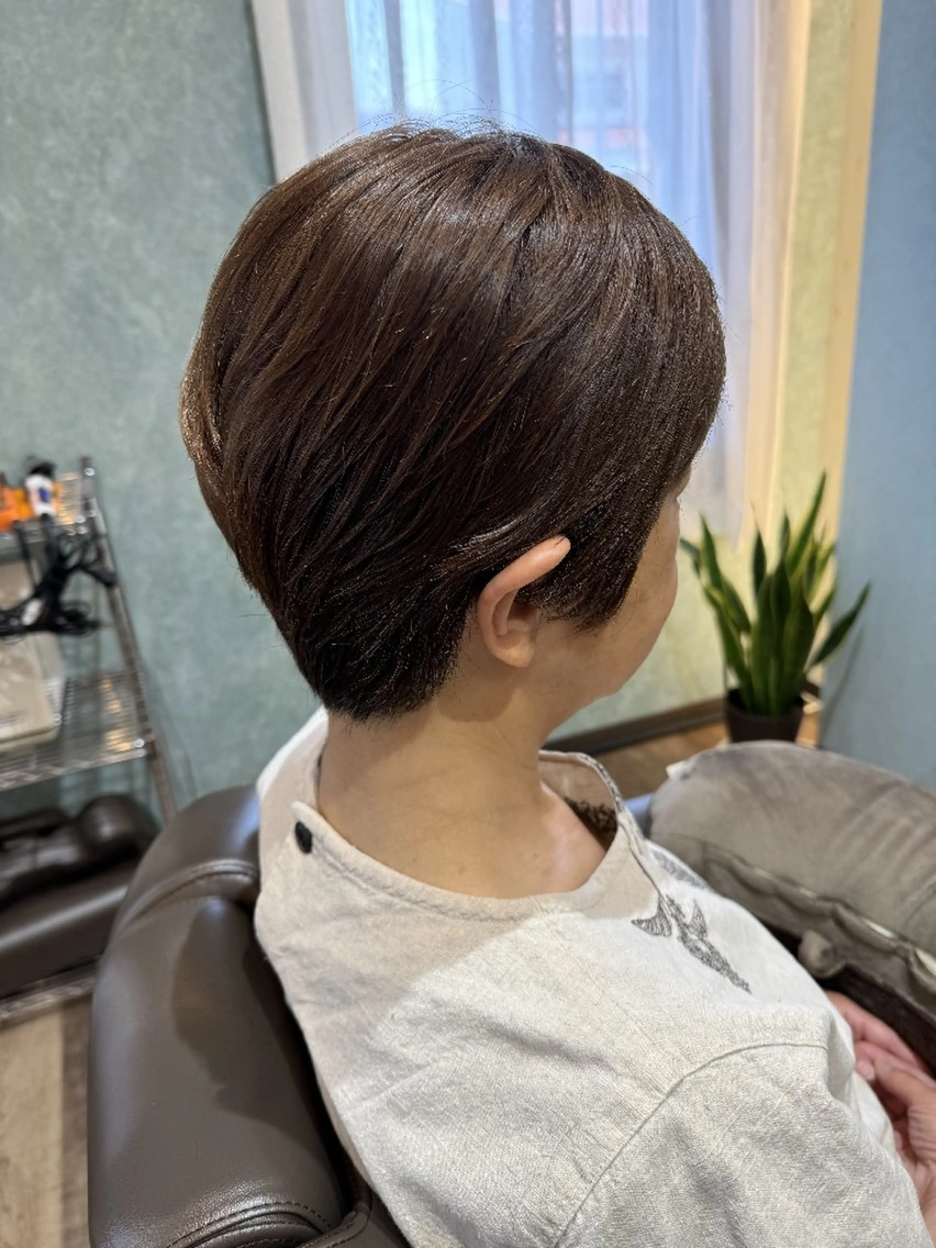 カットスタンダードコースの写真