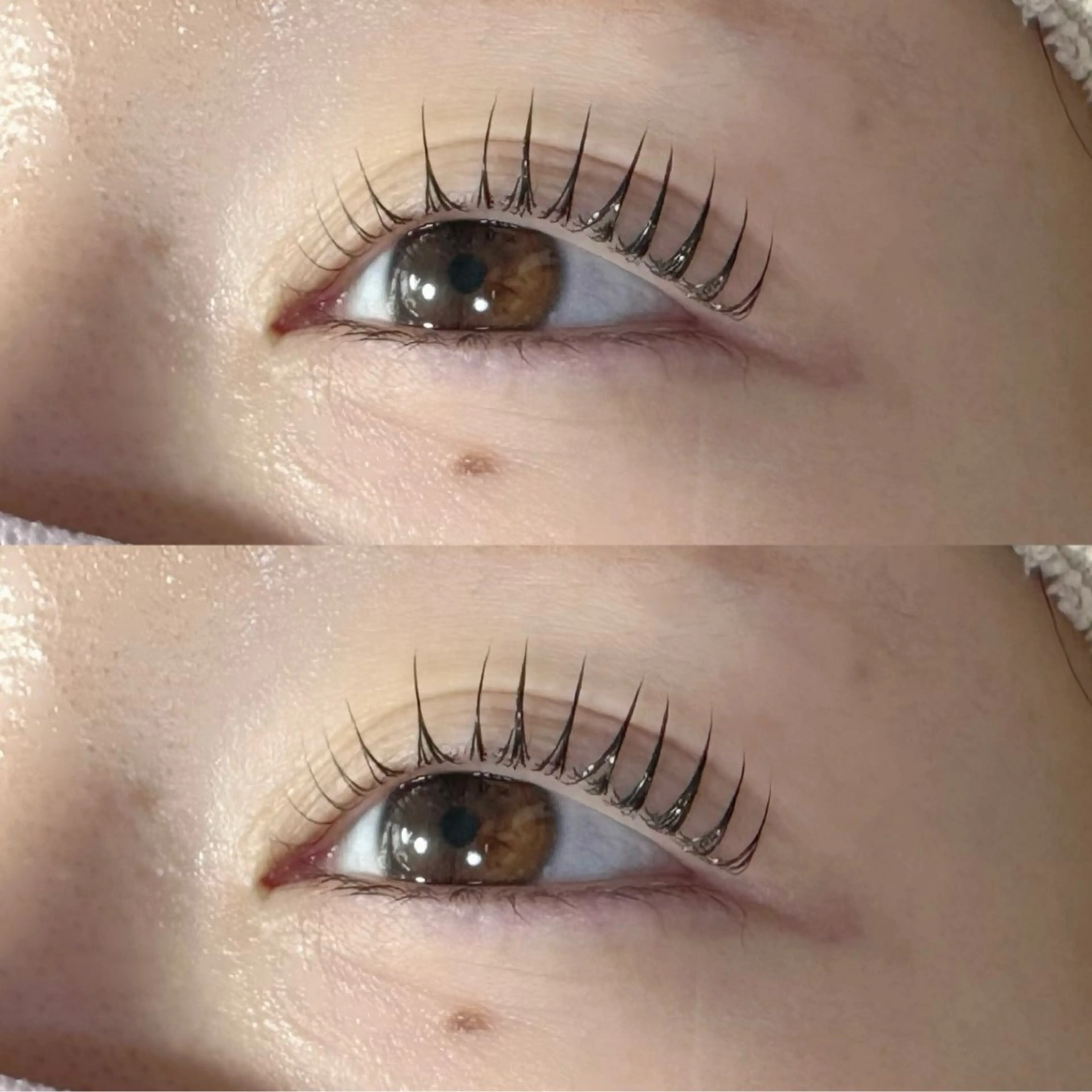 マツエク・マツパ マツパ マリーテレジア🪸 ニシヤマのマツエク・マツパデザイン