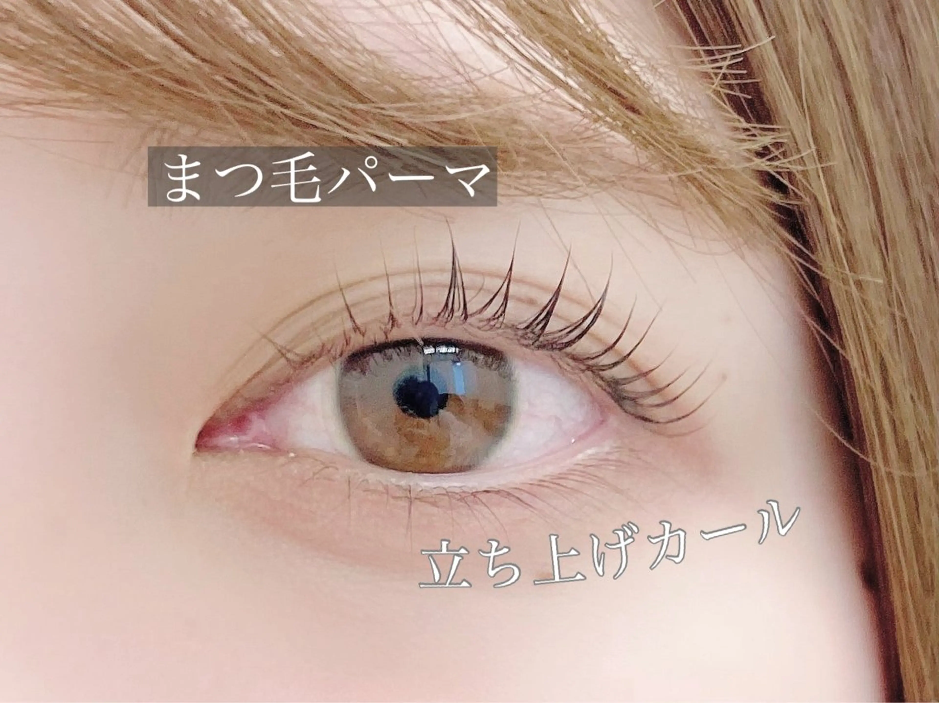 マツエク・マツパ 一重×まつ毛パーマ マツコのまつ育サロン 埼玉大宮店のマツエク・マツパデザイン