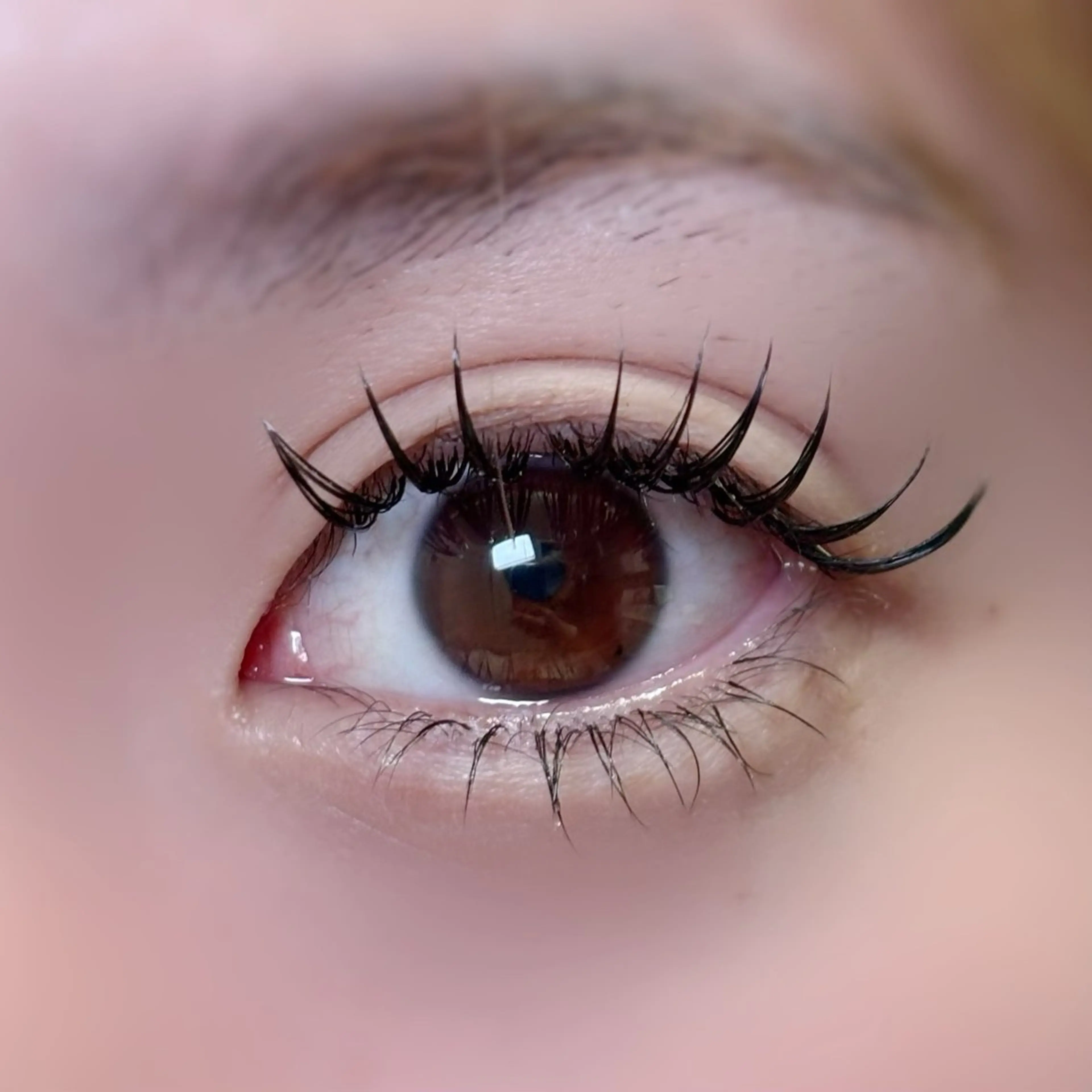 マツエク・マツパ マツエク M'snail &eye所属・かりん 🧸💙のマツエク・マツパデザイン