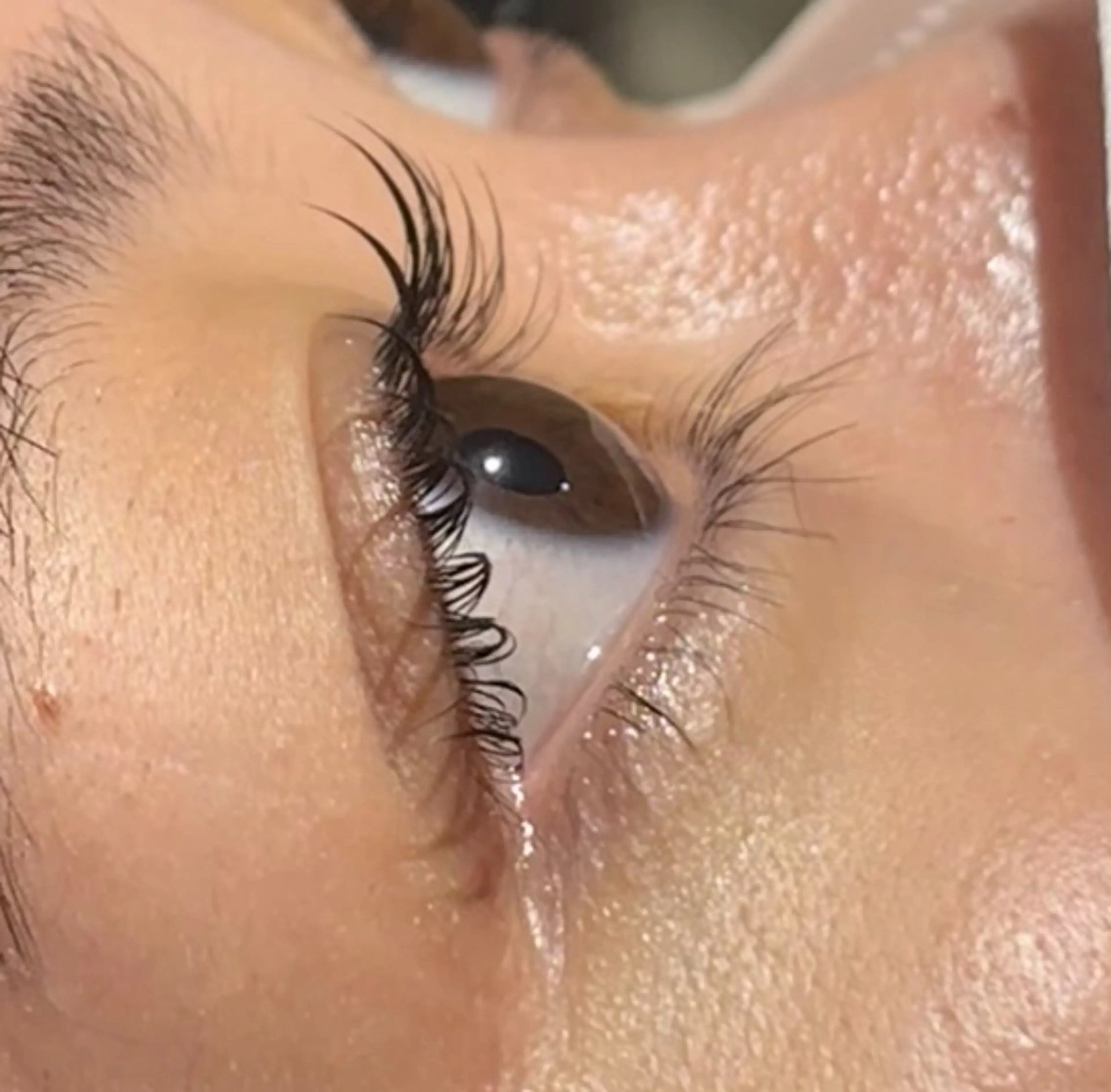 まつげパーマ【上下】➕アイシャンプー🫧の写真