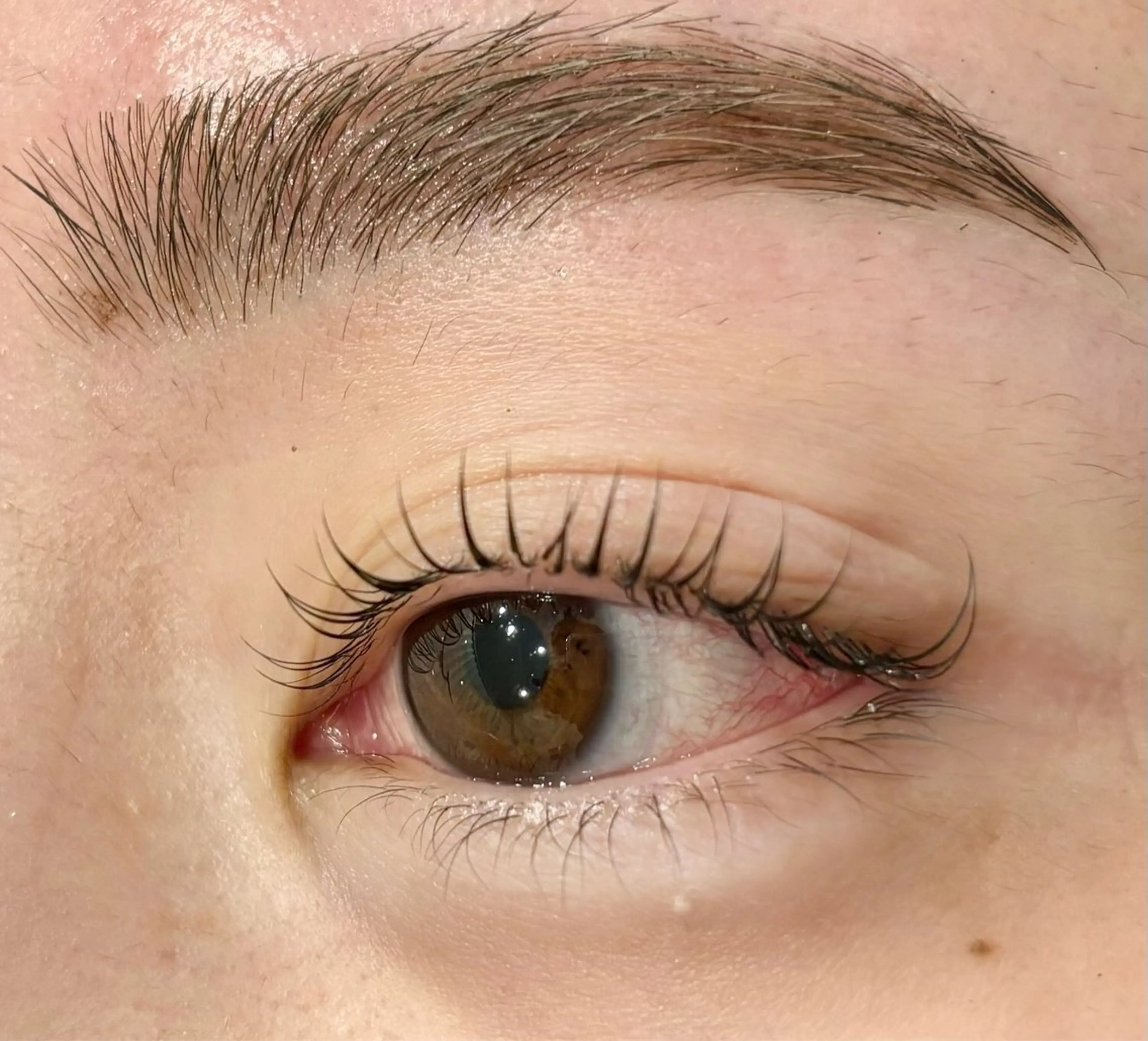 【🎀急募レッスンモデル募集🎀】まつげパーマ＆eye blow wax✨ 補足説明必読❕の写真