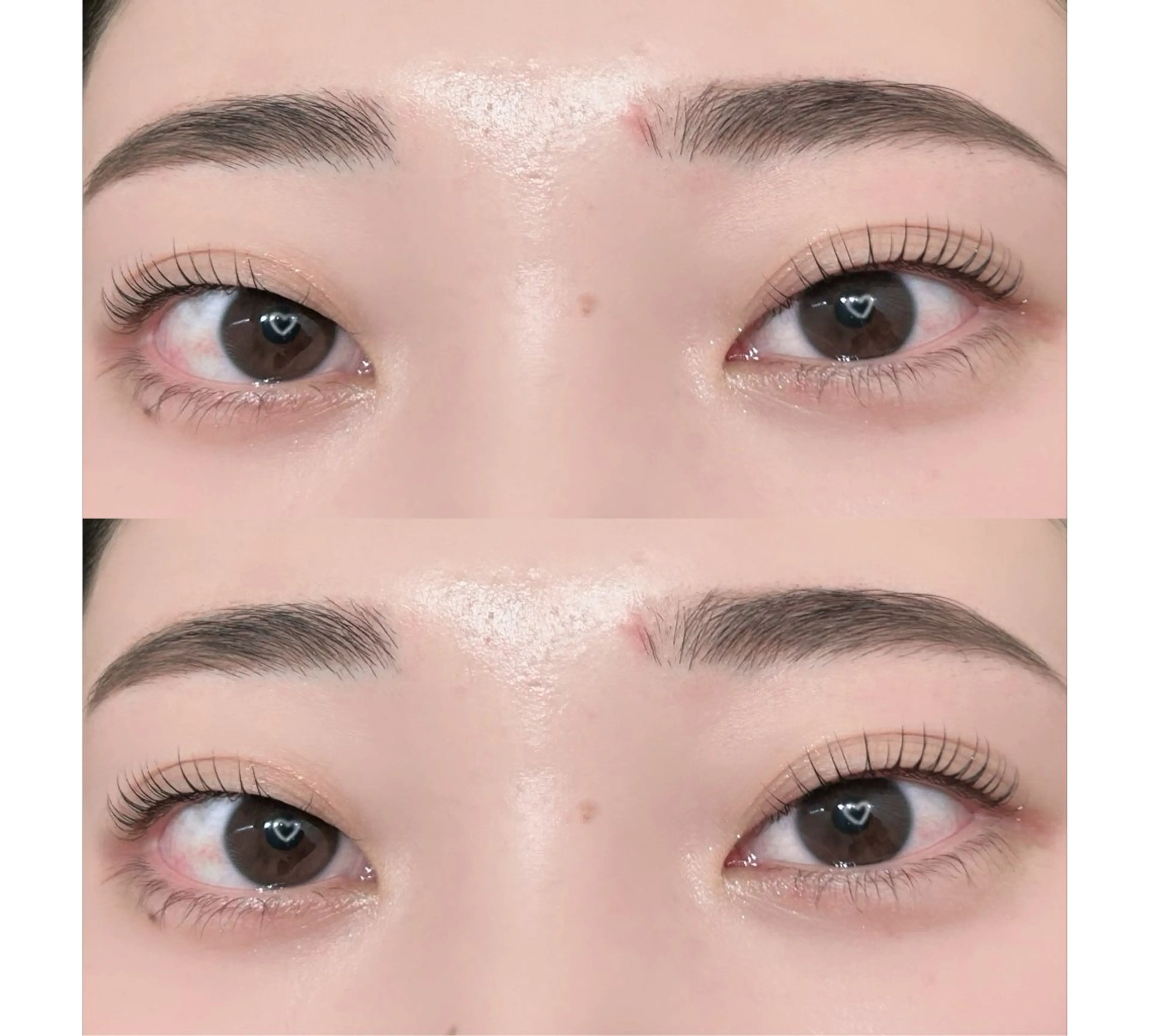 【新規】初回限定★アイシャンプー付🫧まつげパーマ+美容液コーティングの写真