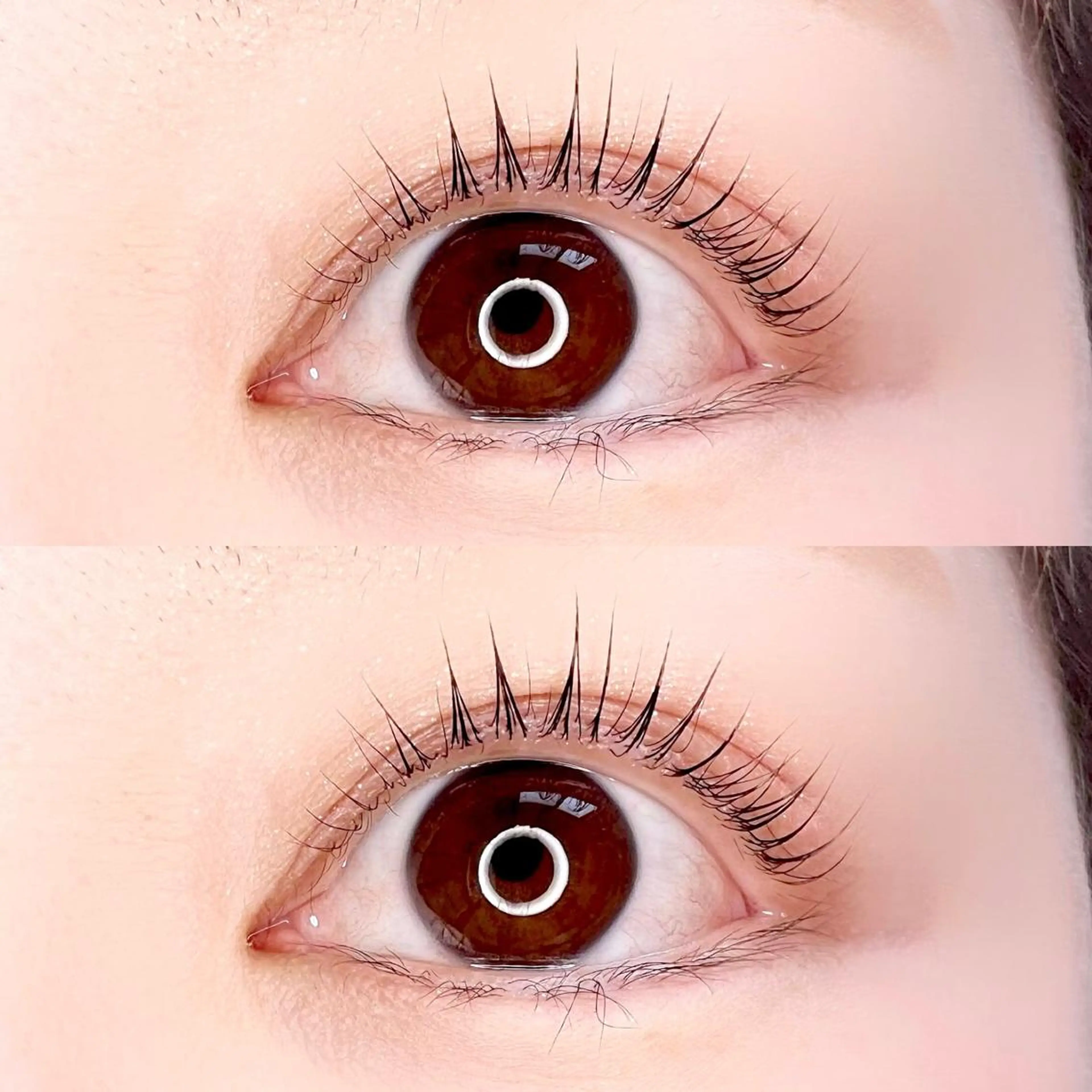 マツエク・マツパ Madonna Lilyのマツエク・マツパデザイン