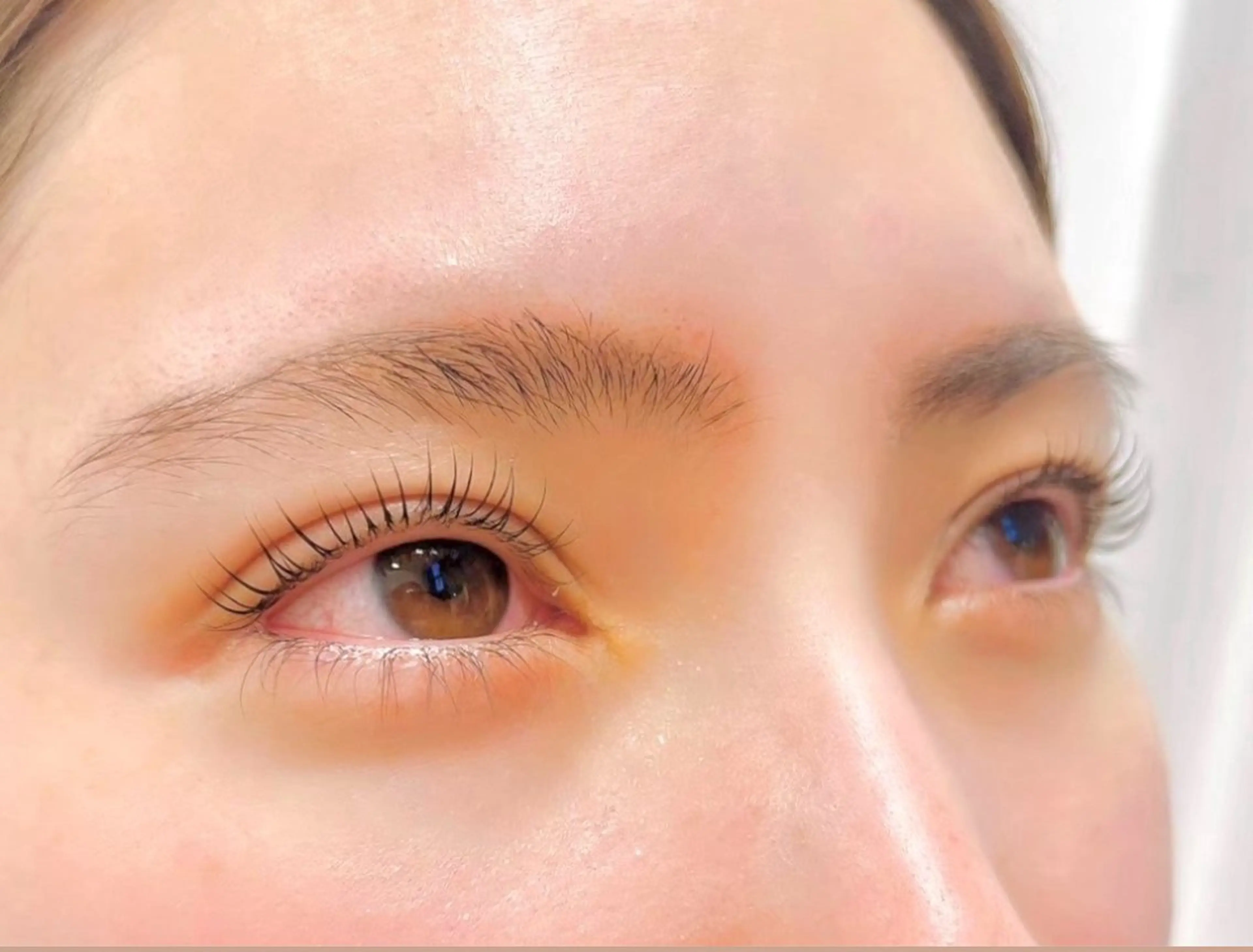 【トレンド】🖤マスカラティントまつげパーマ+高濃度美容液ケア🖤の写真