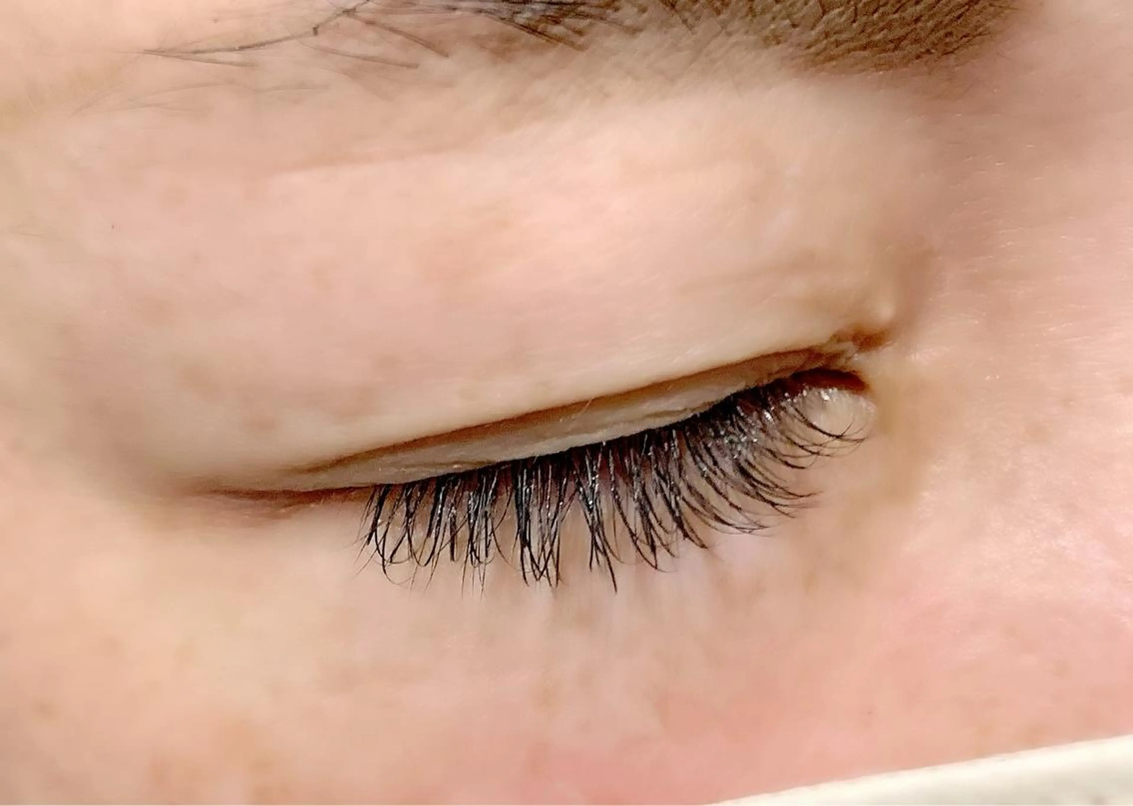 🤍【無料モデルさん募集中】🤍最高級セーブルラッシュ120本✨⚠️癖のないまつ毛で綺麗に生え揃っている方⚠️の写真