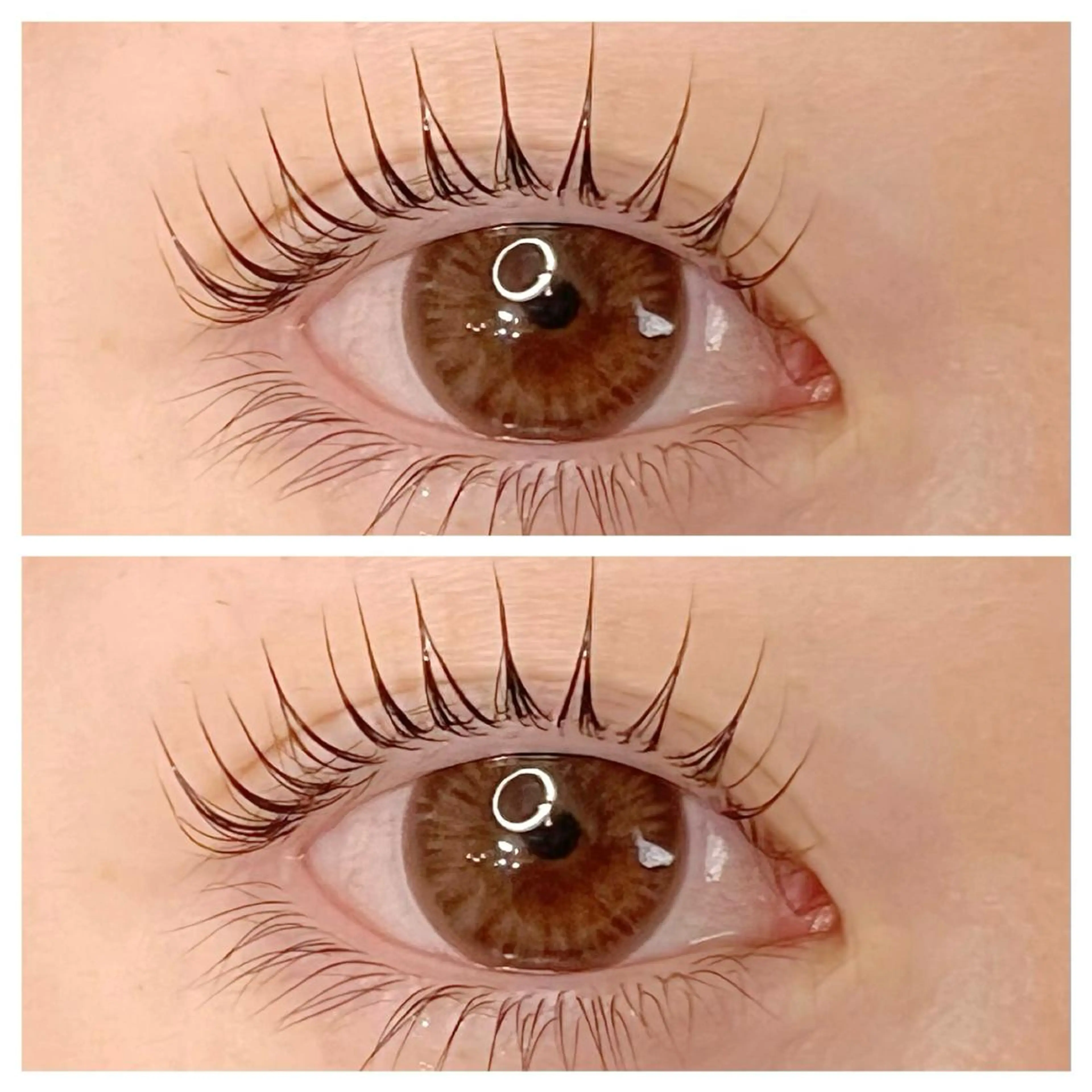 【コーティング付きꕤ】上下パリジェンヌラッシュリフトの写真