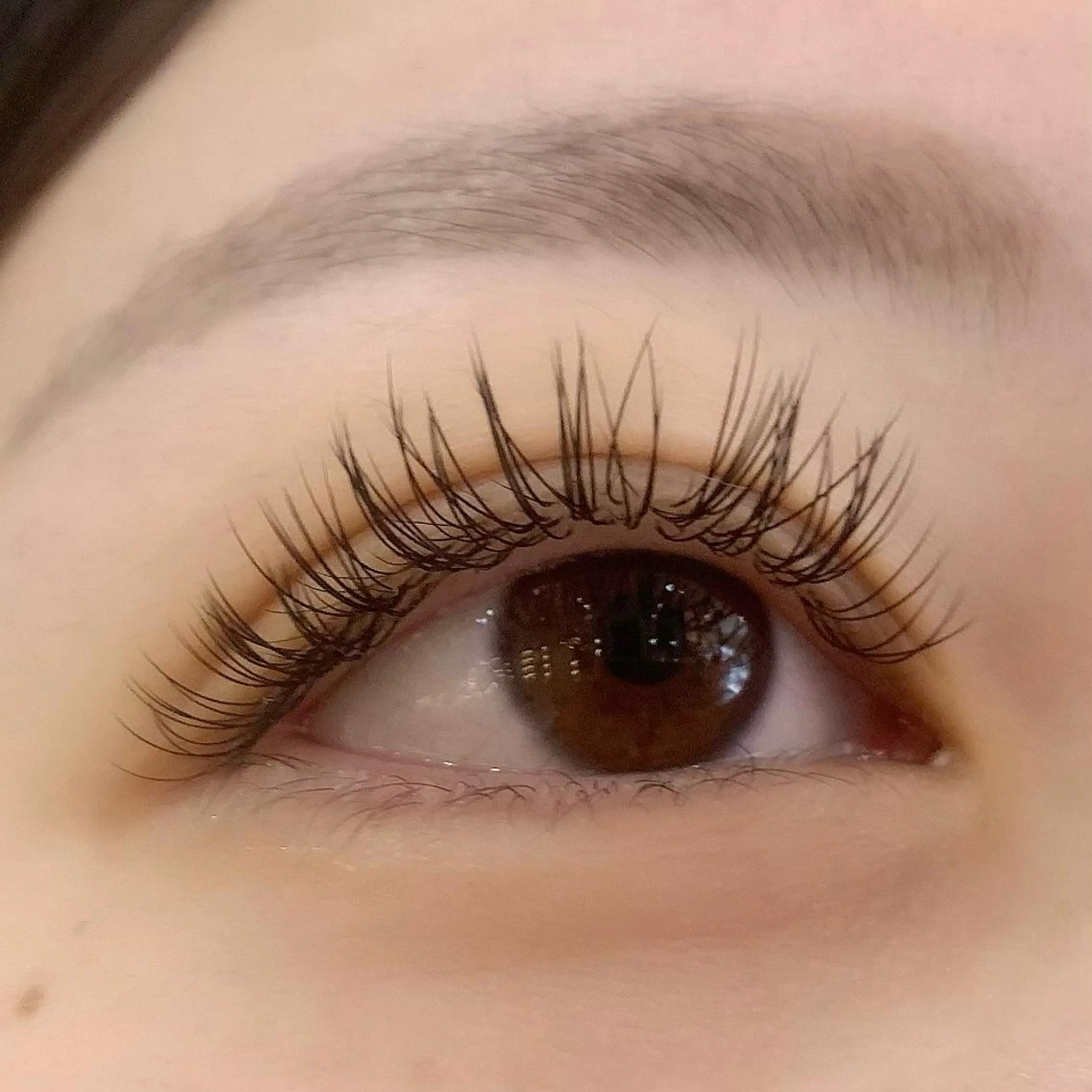 マツエク・マツパ フラットラッシュ Celeste Venus所属・🧸Celeste Venusのマツエク・マツパデザイン