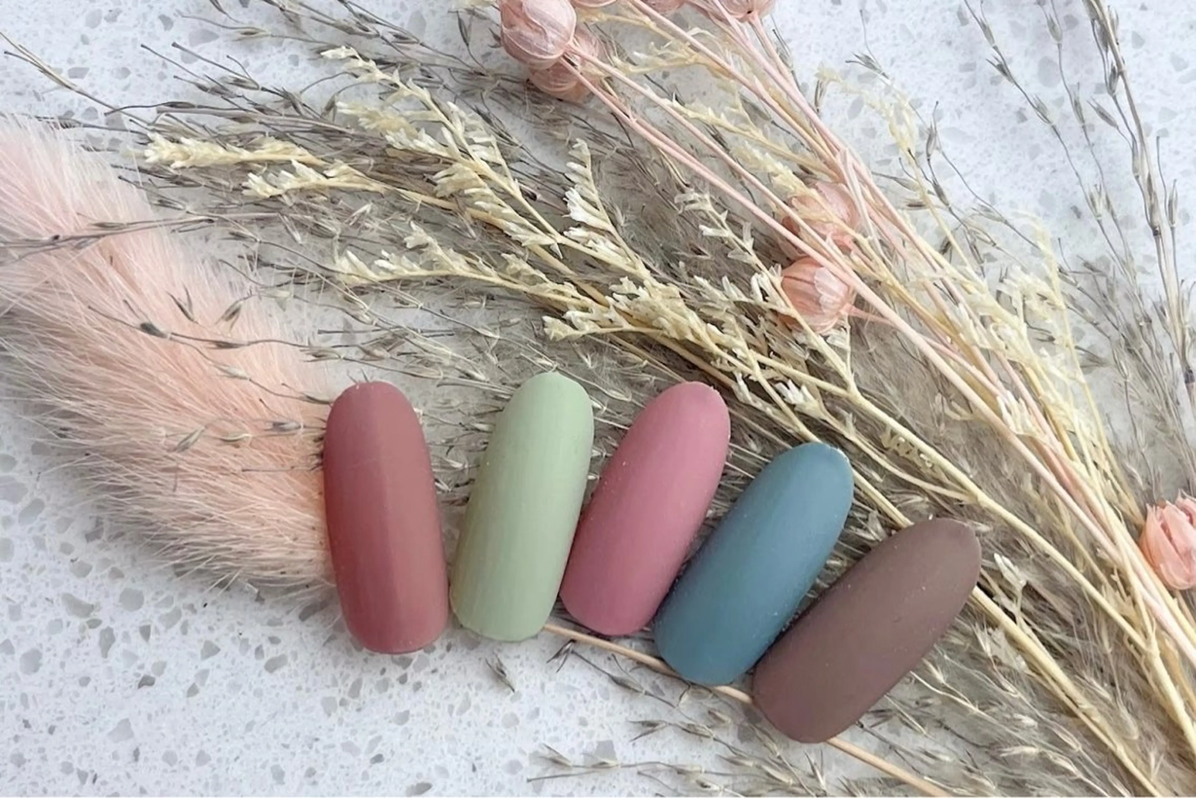 オフありワンカラーの写真