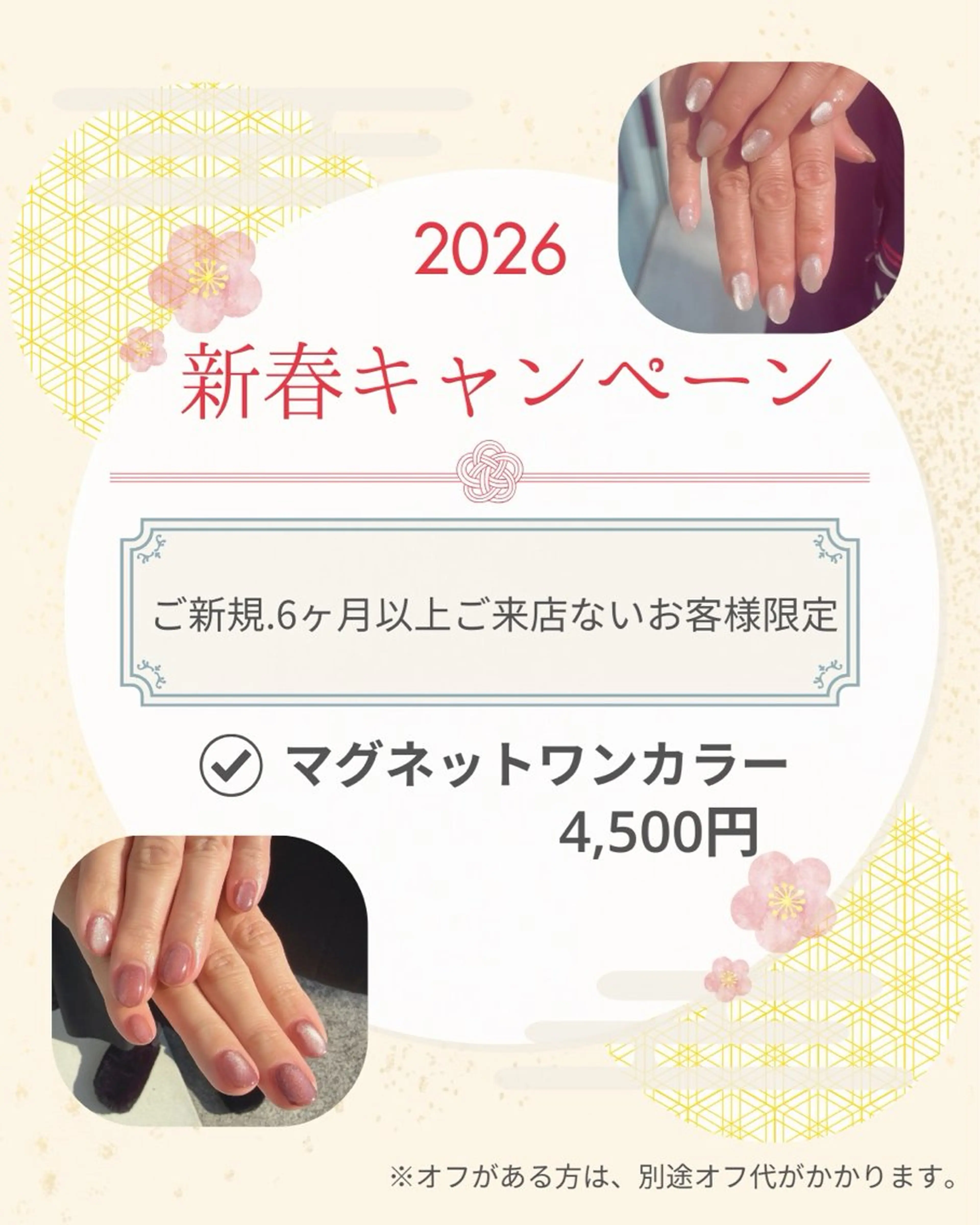 【ご新規クーポン】マグネットワンカラー4500円 ◎オフ無しの写真