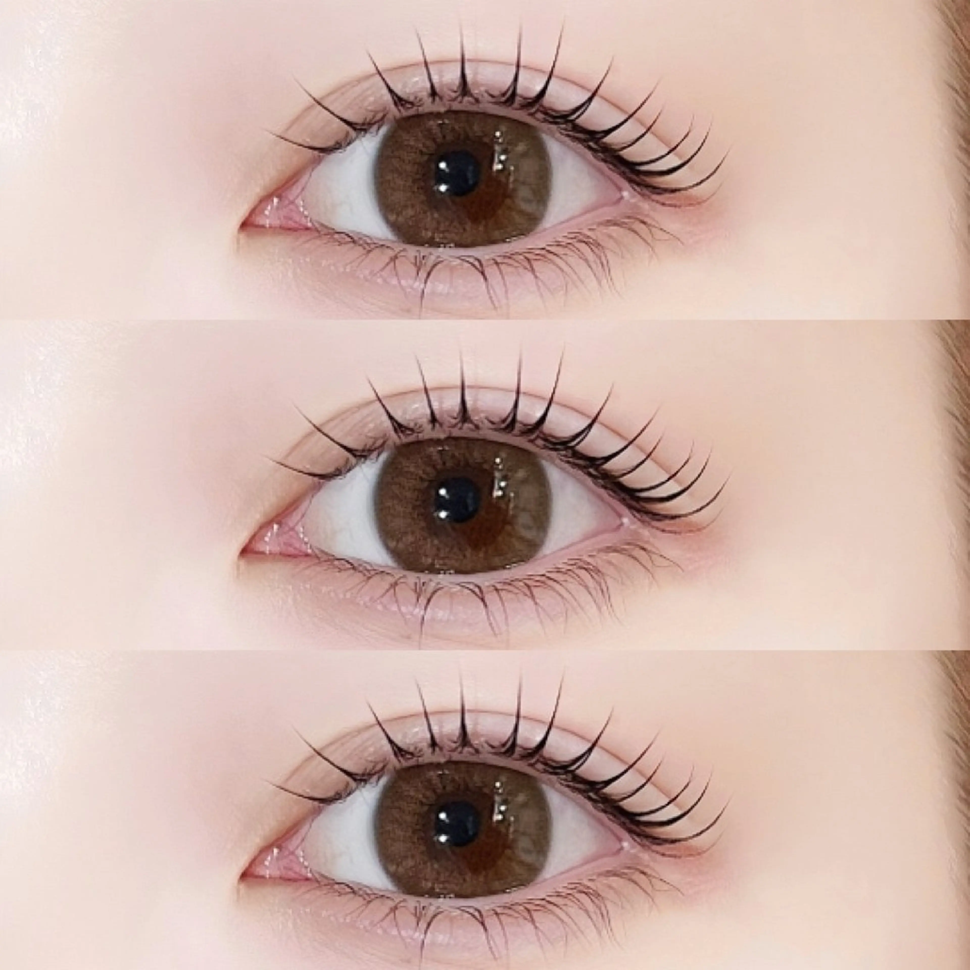 本日限定✨パリジェンヌ/まつ毛パーマ🤍の写真