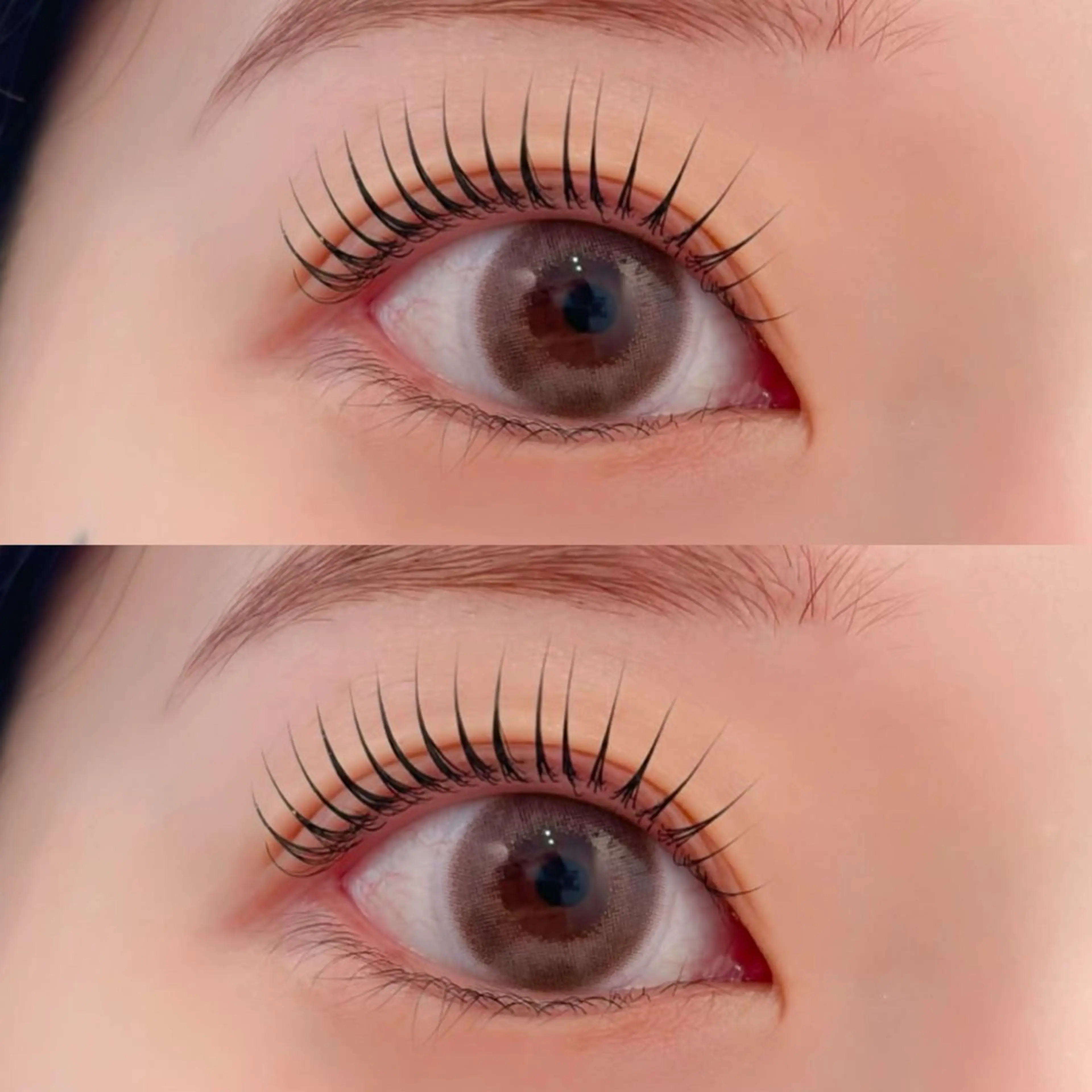 🐈‍⬛マスカラパーマ🐈‍⬛の写真