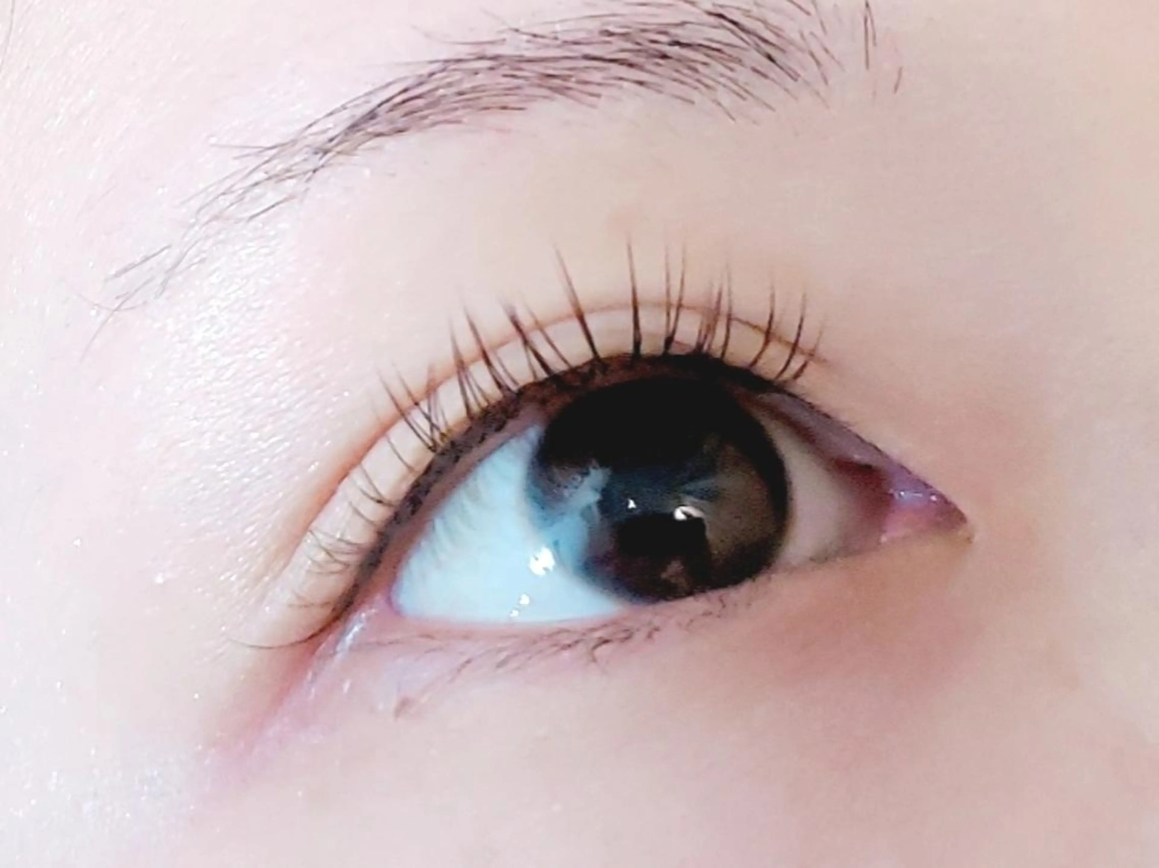 人気NO.1✨️【ミニモ限定】バインドロック✨️80束の写真