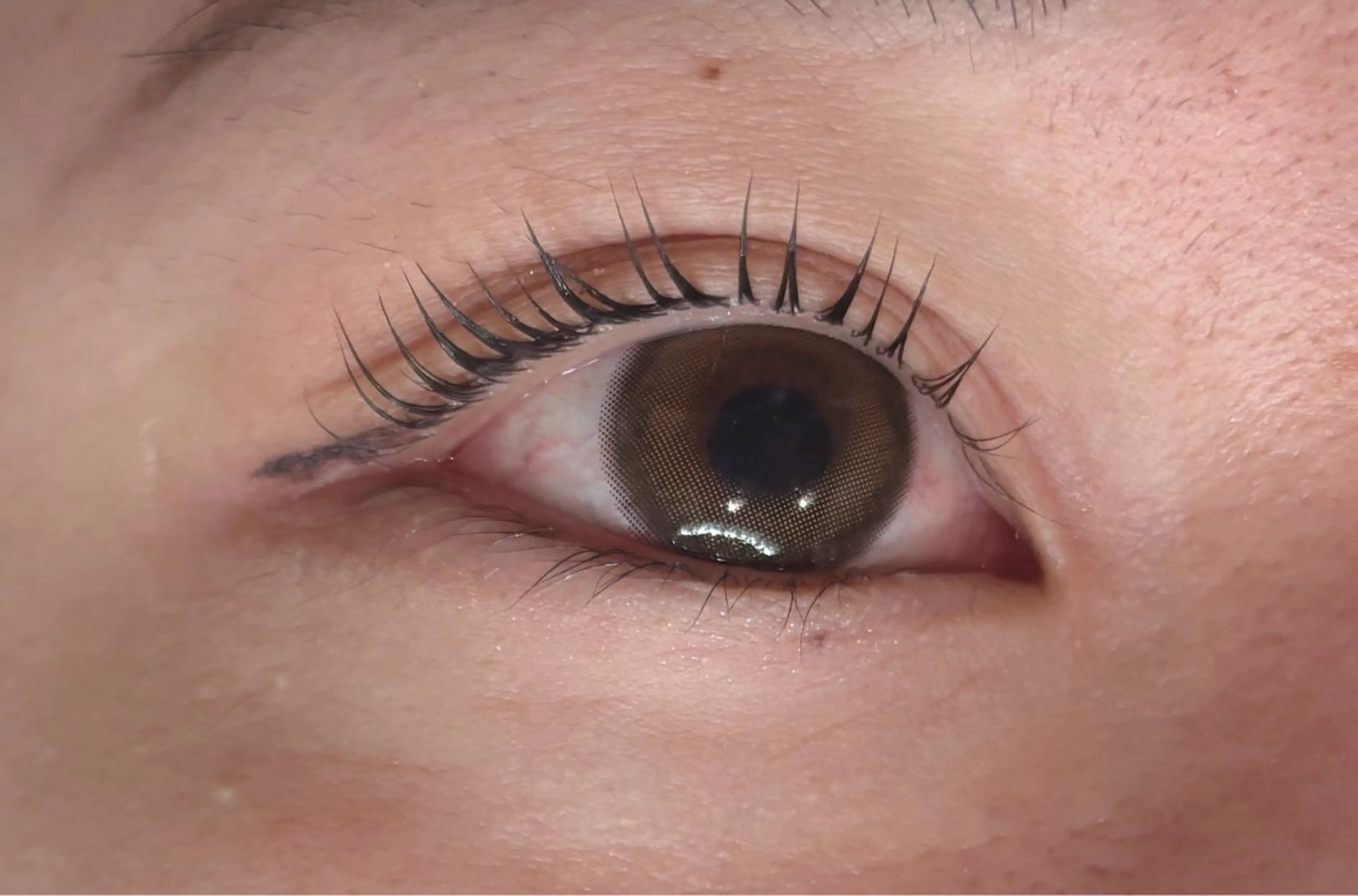 マツエク・マツパ パリジェンヌラッシュリフト EyeLash Salon Froh 大和店所属・Eyelash / YUZU🫧🌷のマツエク・マツパデザイン