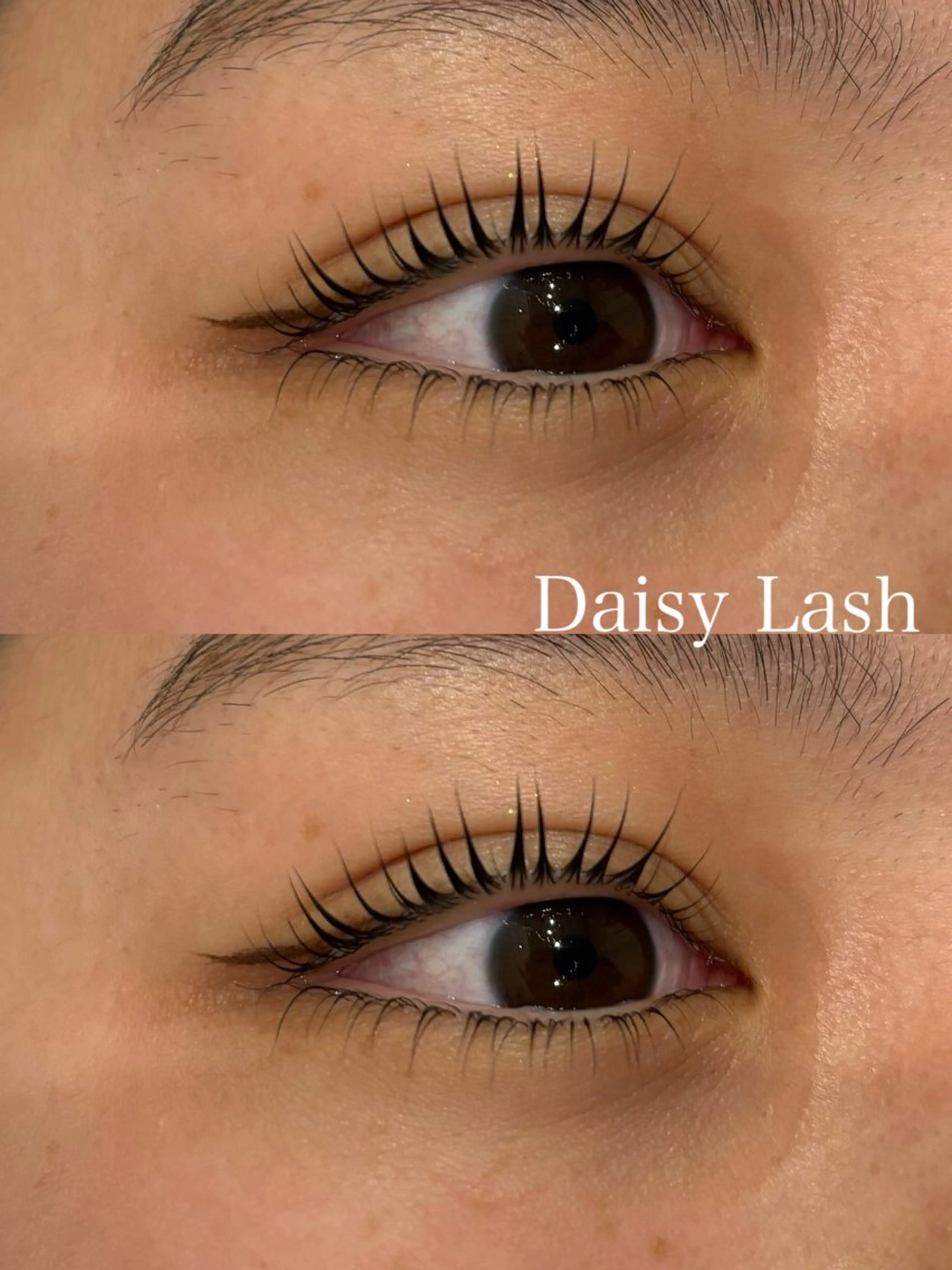 マツエク・マツパ Daisylash 光璃の眉毛・アイブロウイメージ