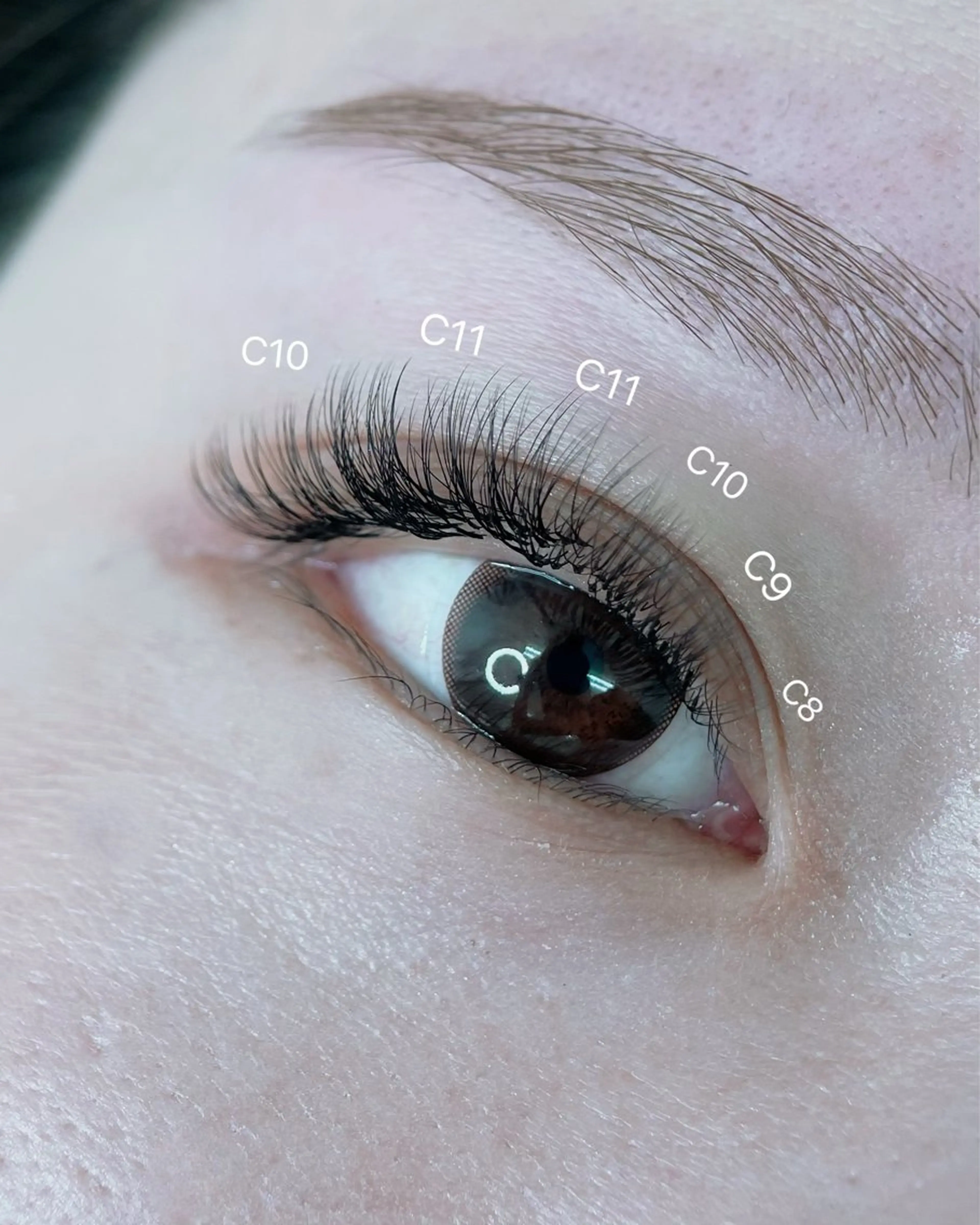 マツエク・マツパ マツエク まつ毛、眉毛 専門店🎀🐻のマツエク・マツパデザイン