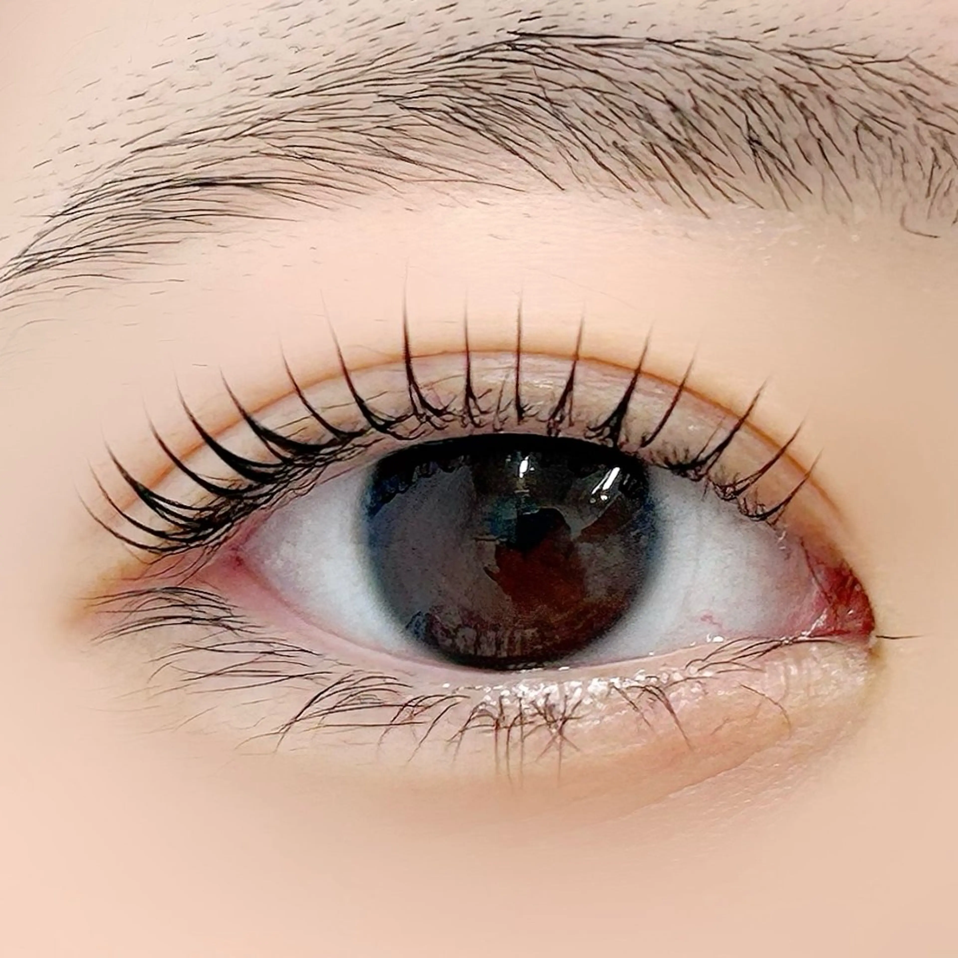 マツエク・マツパ パリジェンヌラッシュリフト 一重×まつ毛パーマ BellFlower Aki(眉・まつげ)のマツエク・マツパデザイン