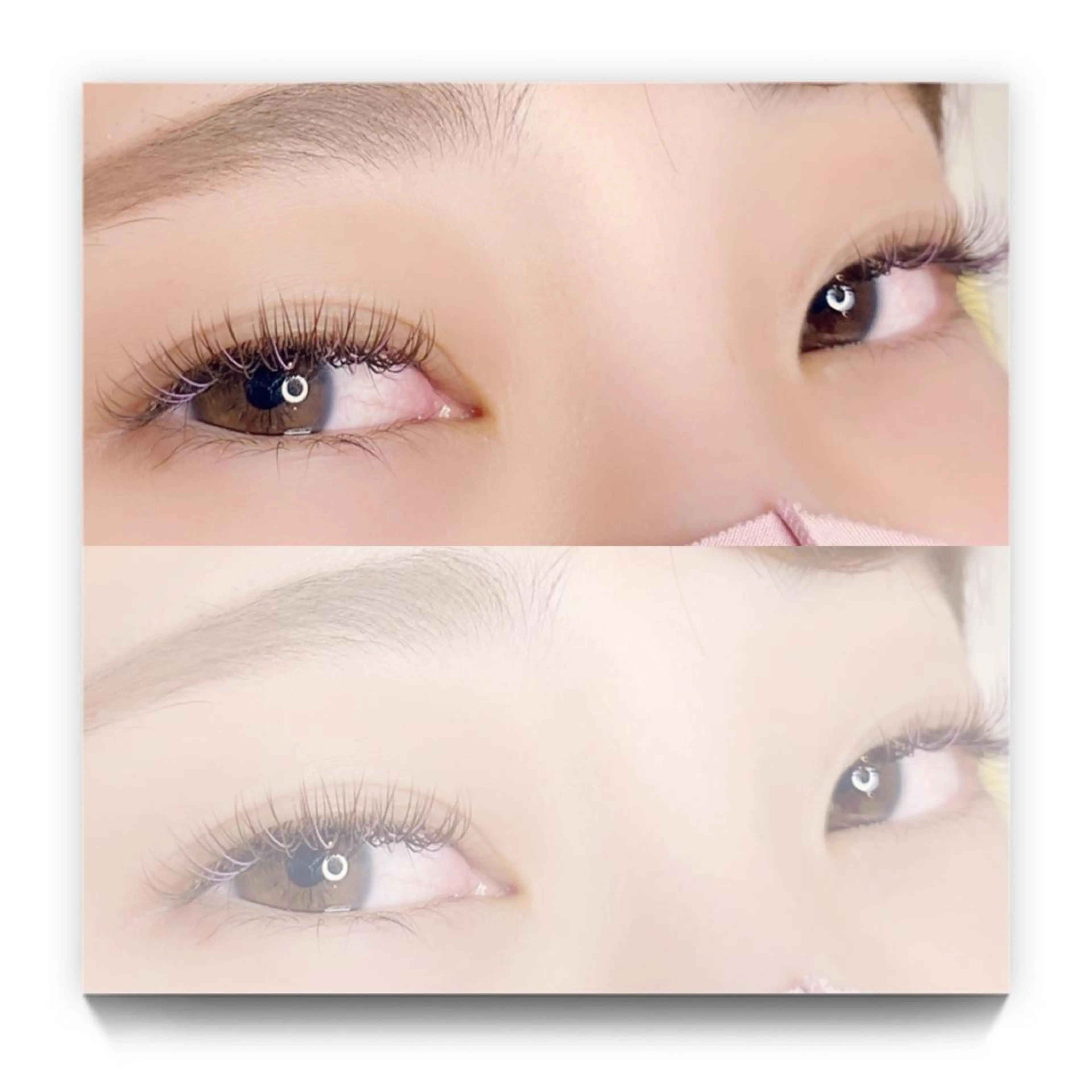 LEDご新規様クーポン❣️フラットラッシュ100本＆アイシャンプー☘️(オフ込み)の写真