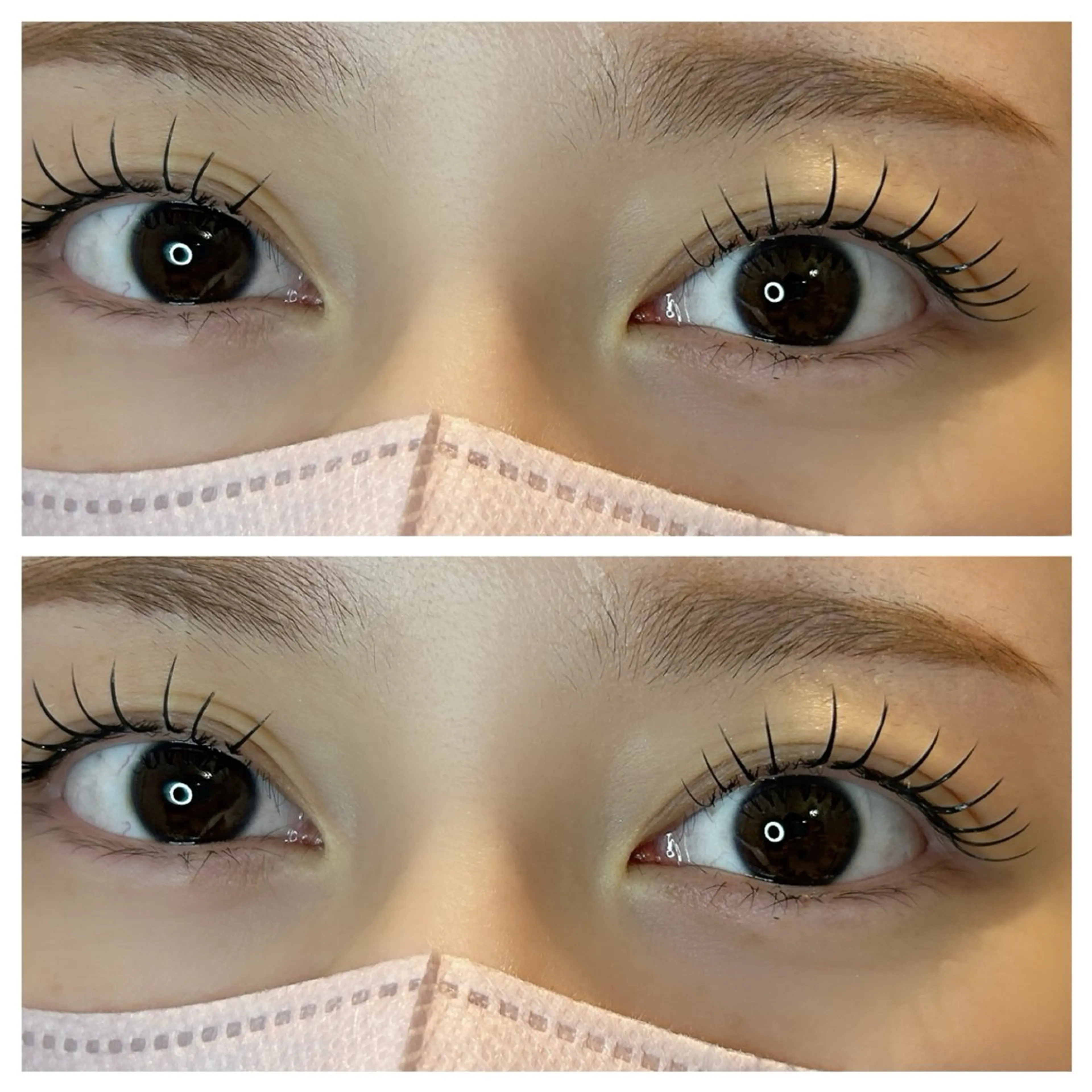 《LEDマツエク》フラットラッシュ 120本🎀アイシャンプー付🤍の写真