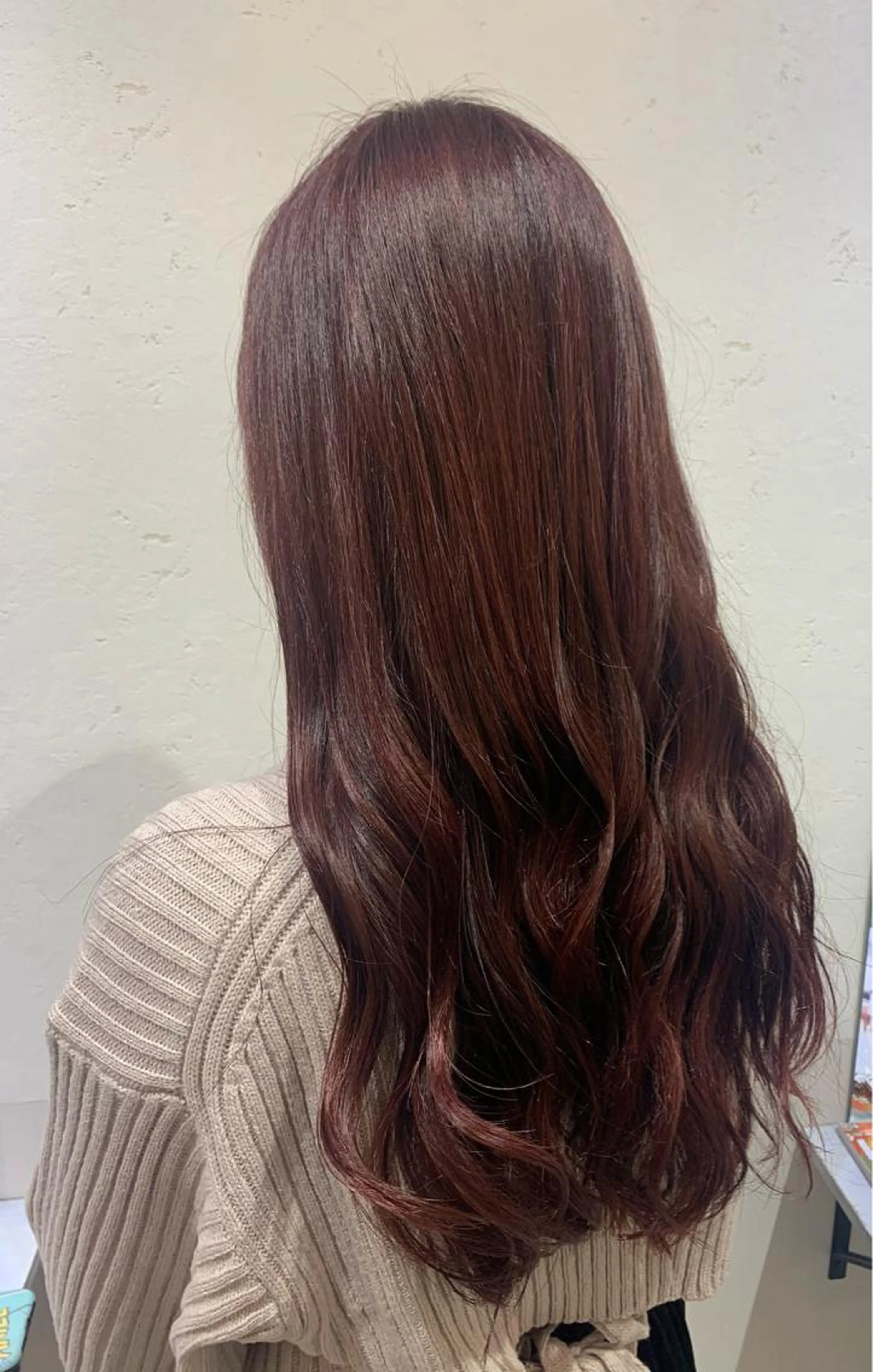 ワンカラー＋超音波Trの写真