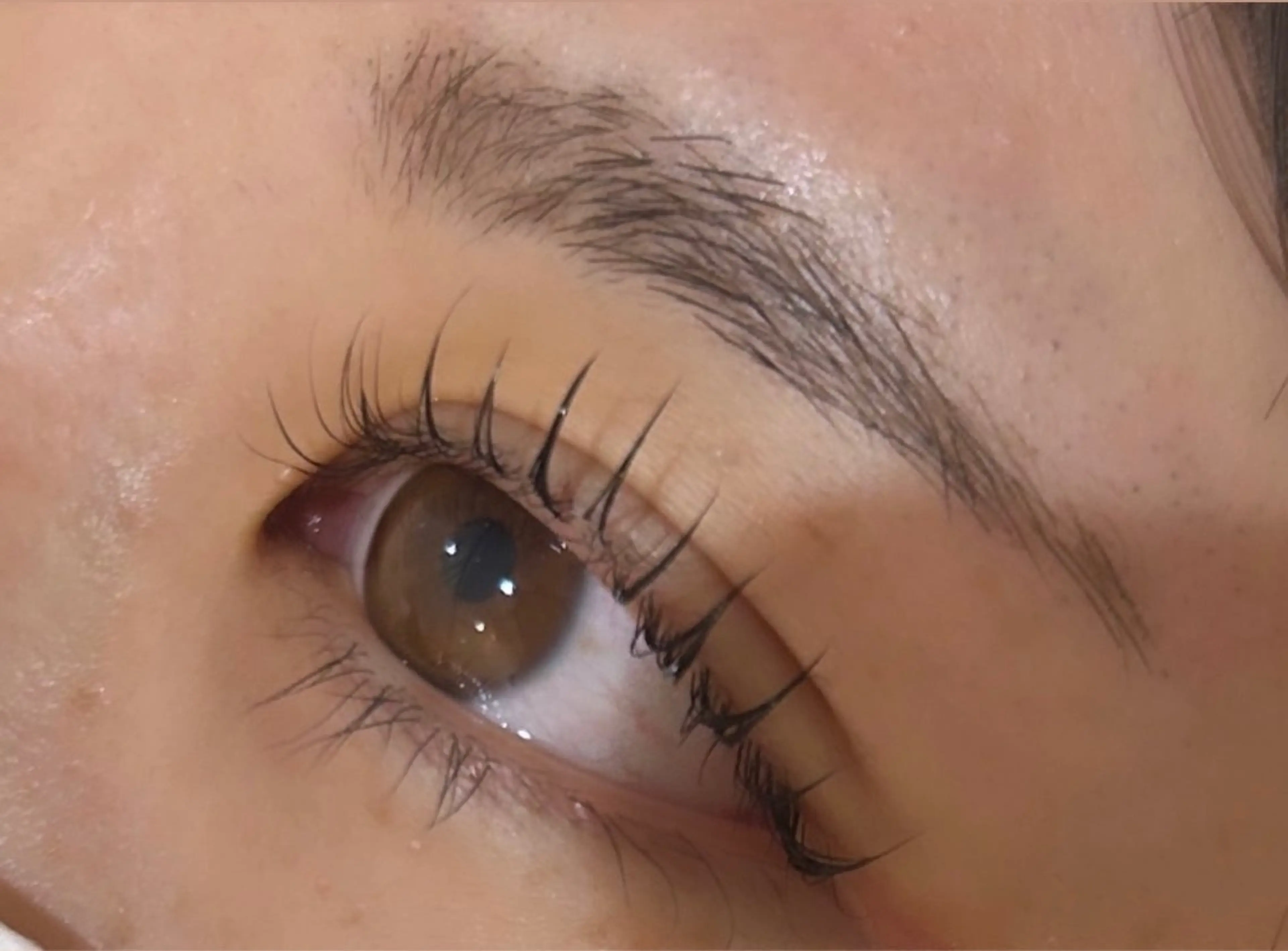 🌟《minimo限定》【学割U24】🌟まつげパーマ️🌟の写真