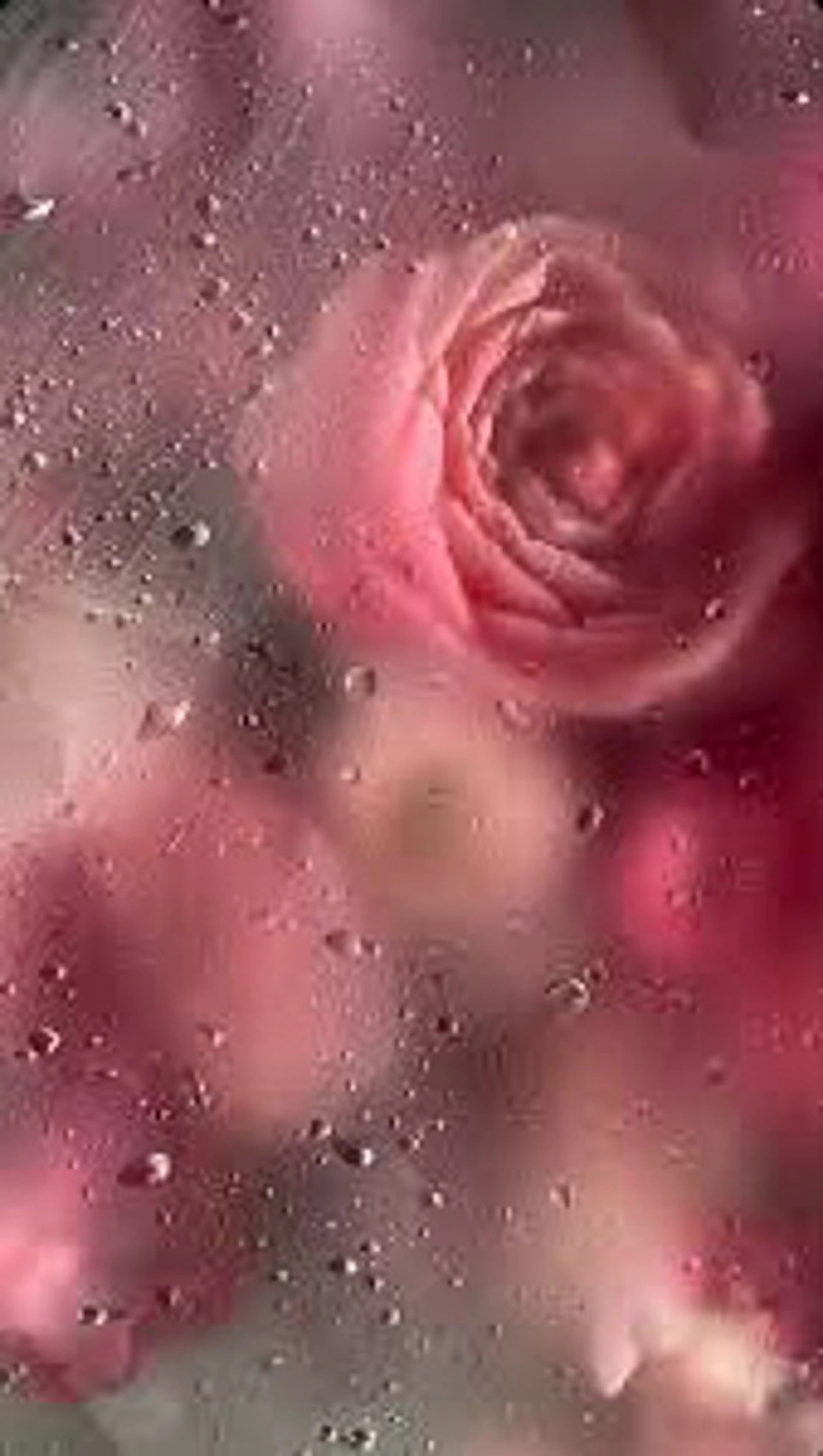 🦋 Natsumiのマツエク・マツパデザイン