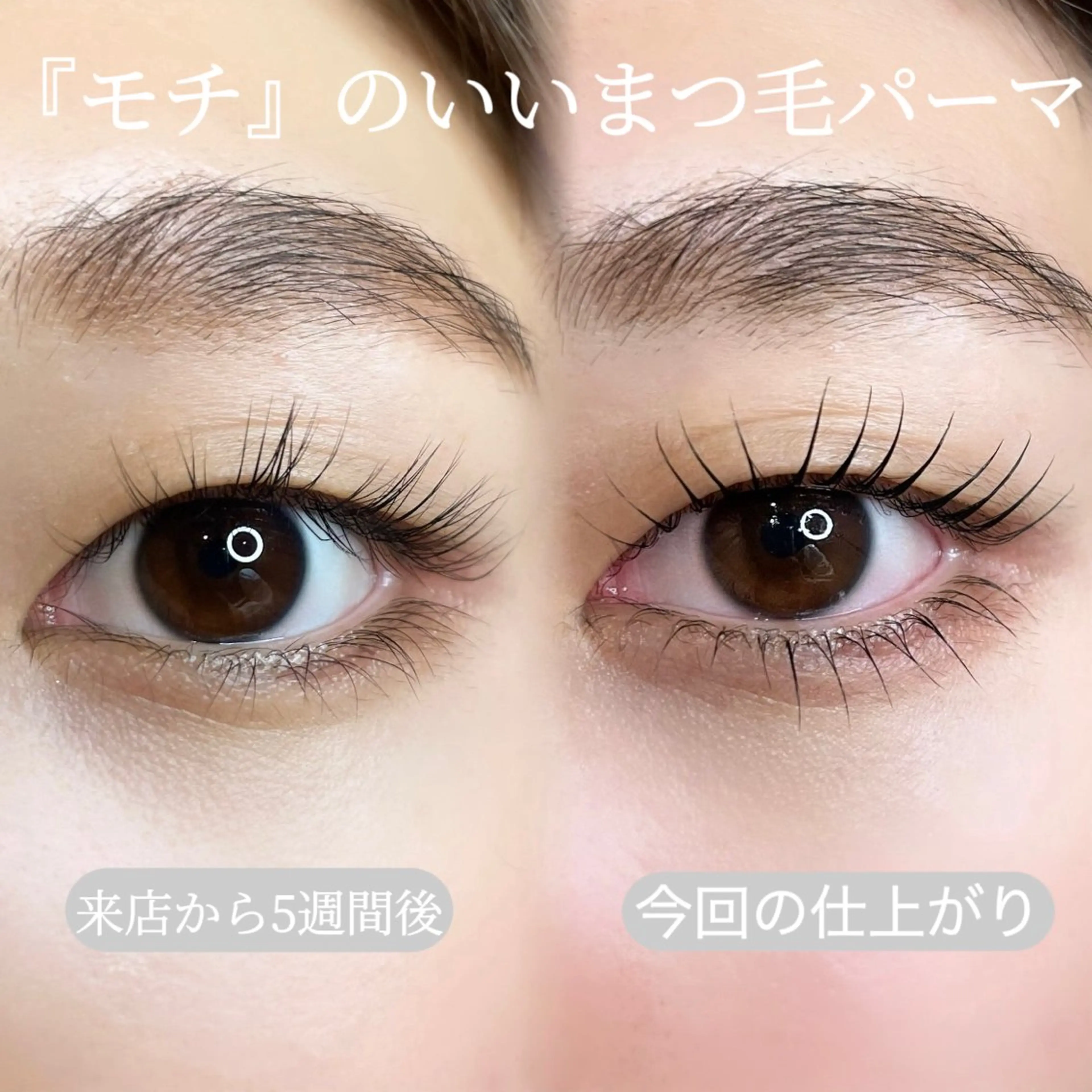 マツエク・マツパ 一重×まつ毛パーマ Nae.所属・眉毛/まつ毛/代官山 アイサロン🌻NAEのマツエク・マツパデザイン