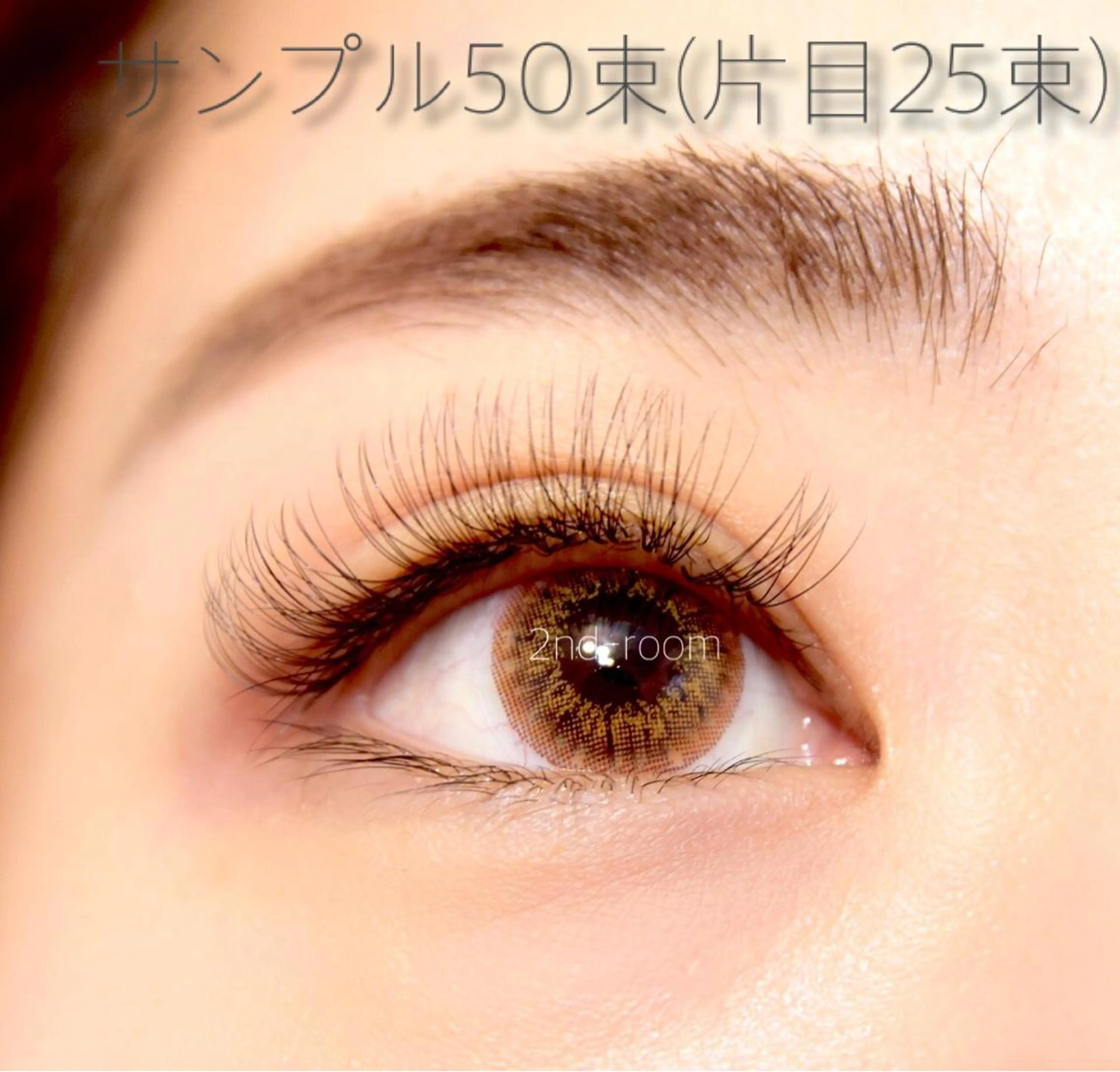 ✴︎2回目以降もOK✴︎《ボリュームラッシュ》50束の写真