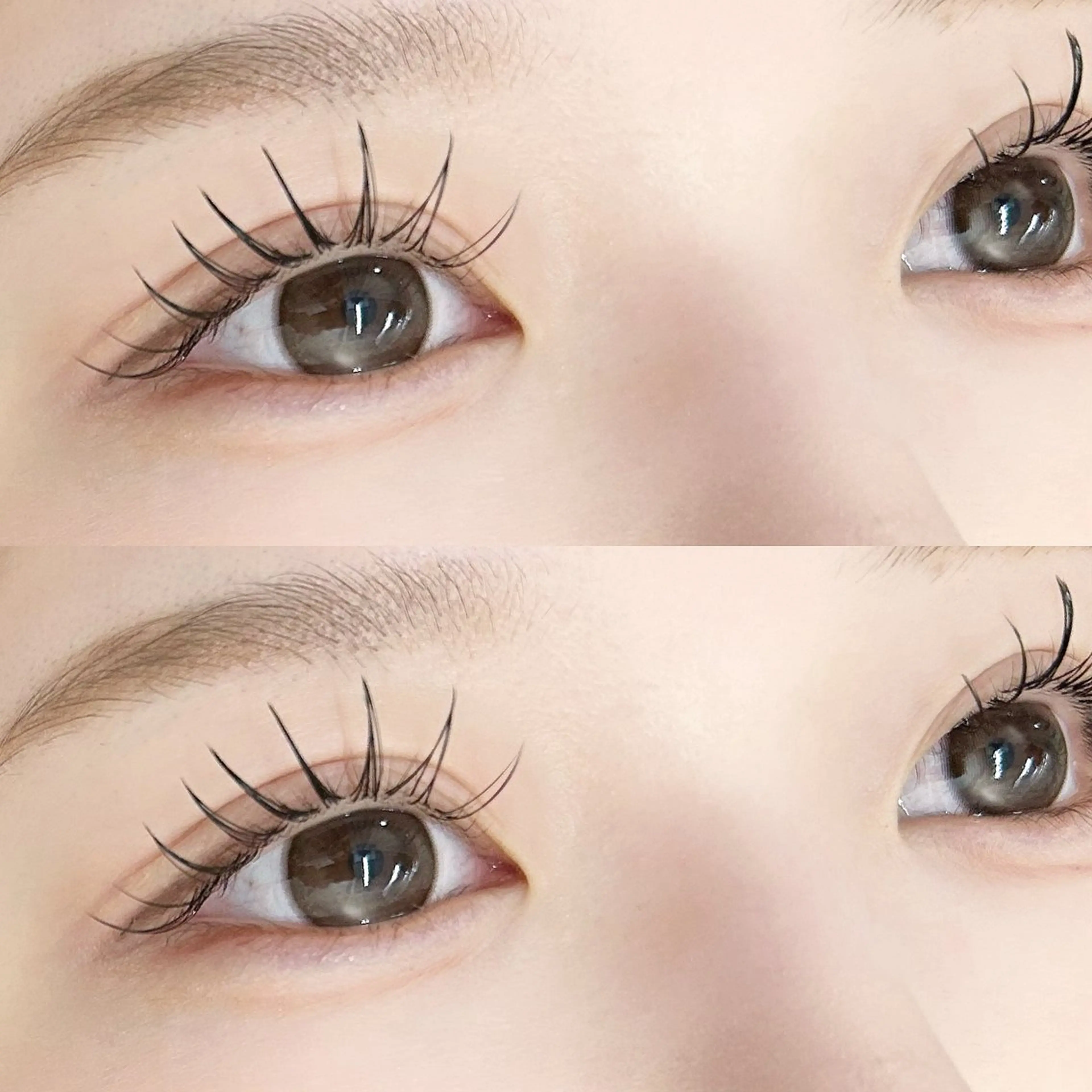 大人気🪄モチNo.1✨LEDマツエク 100本の写真