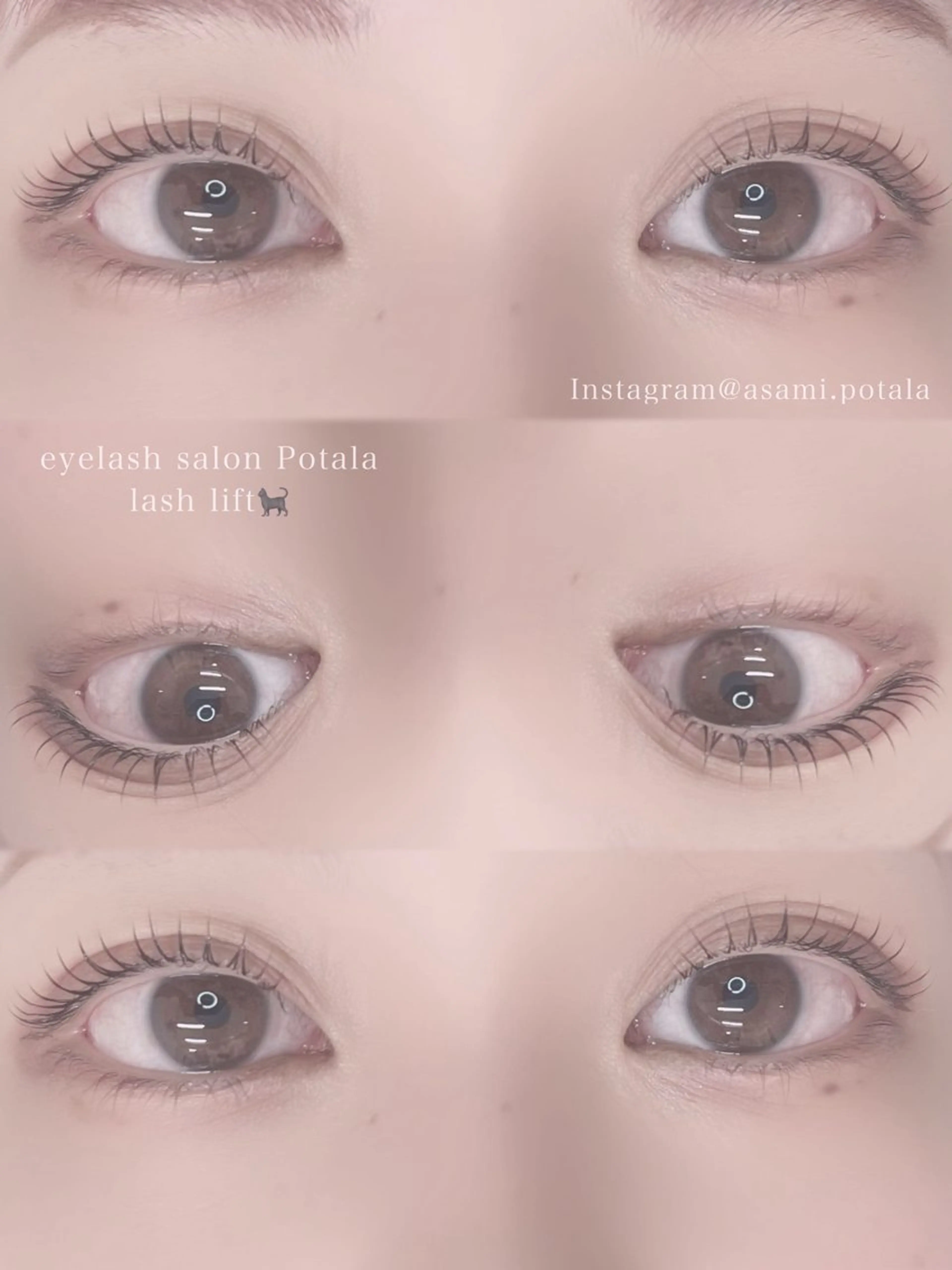 新規のお客様限定✨️ラッシュリフトクーポン👀の写真