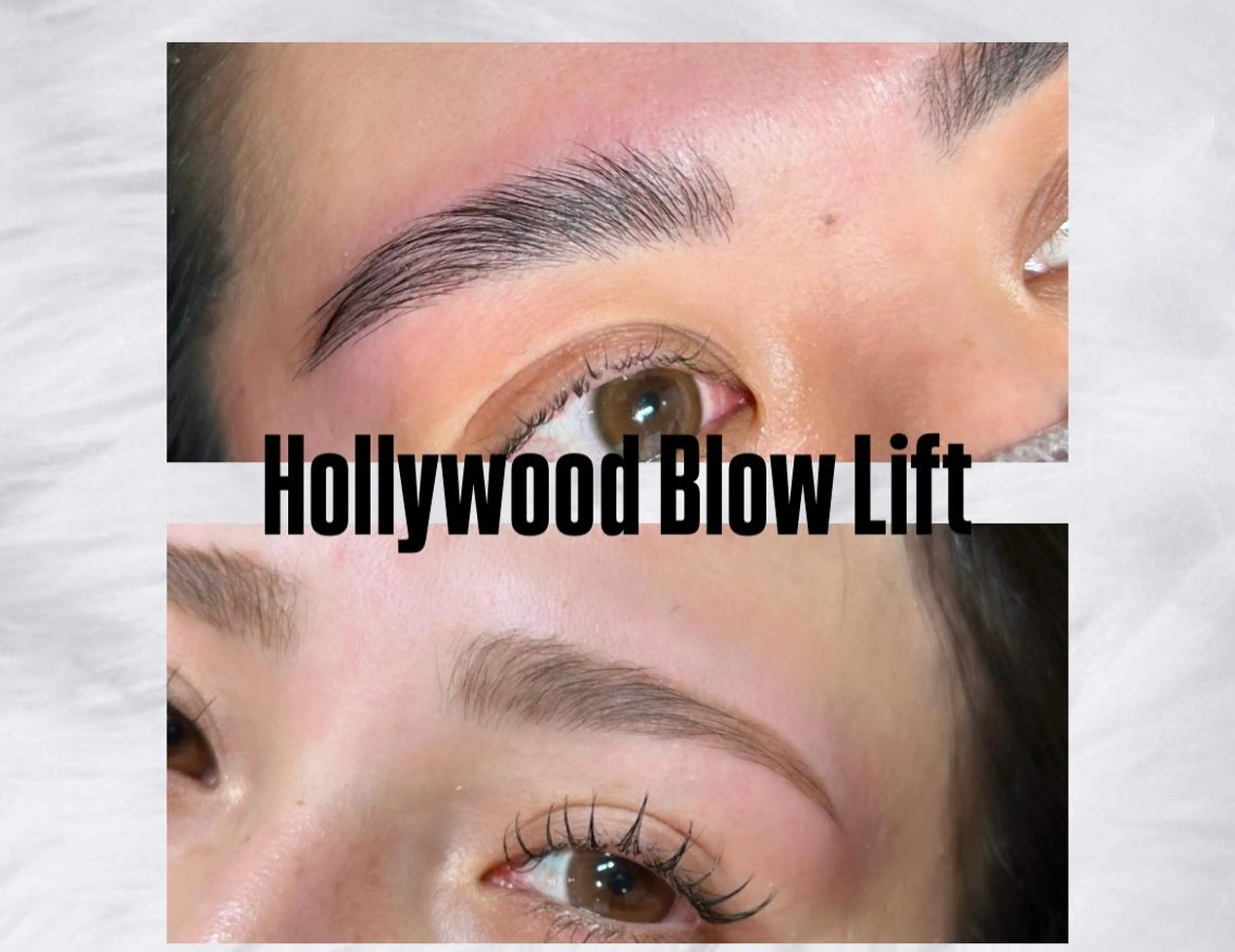 ハリウッドブロウリフト※再来+¥500の写真