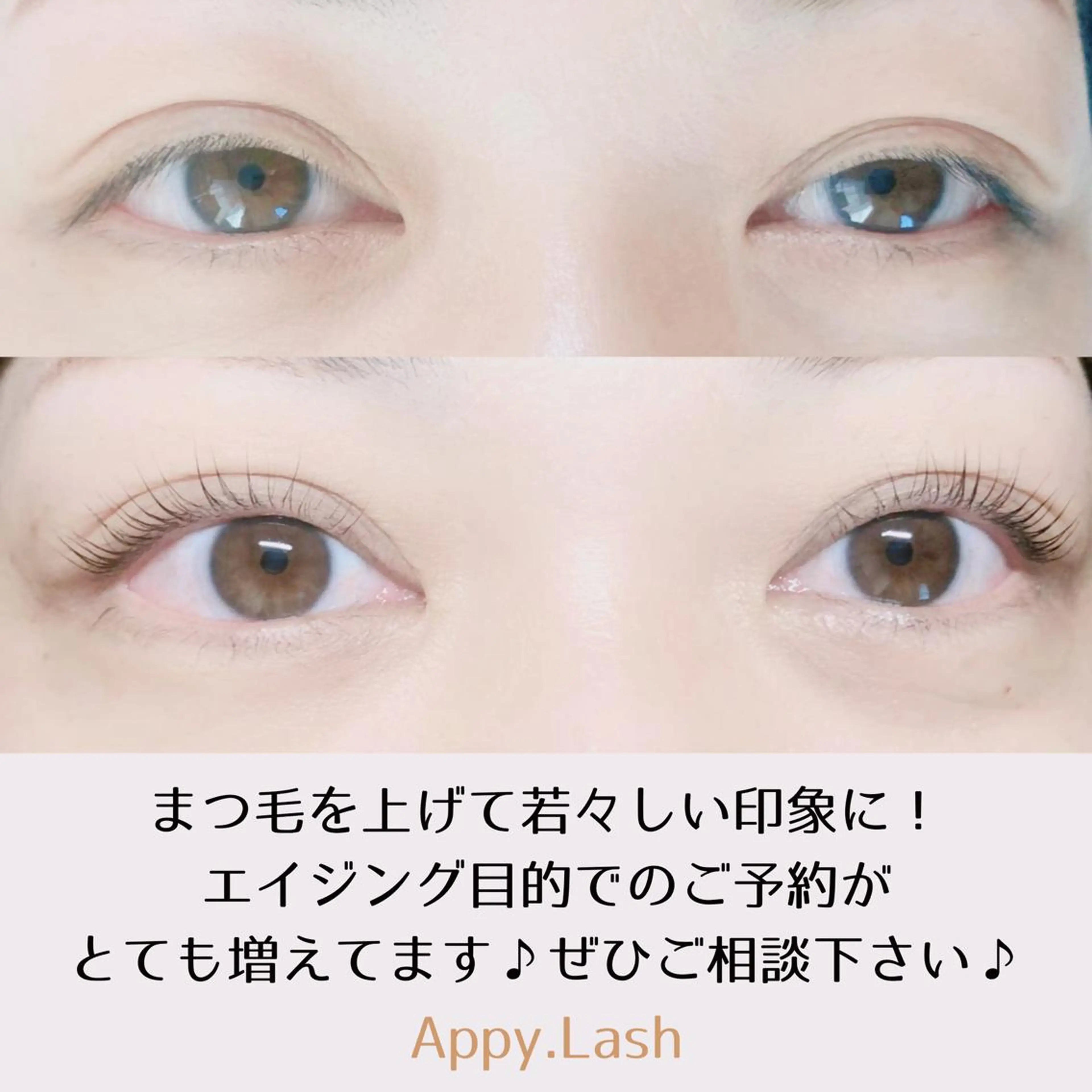 マツエク・マツパ フラットラッシュ ナチュラル パリジェンヌラッシュリフト まつげパーマ ボリュームラッシュ まつげと眉の専門店 Appy.Lashのマツエク・マツパデザイン