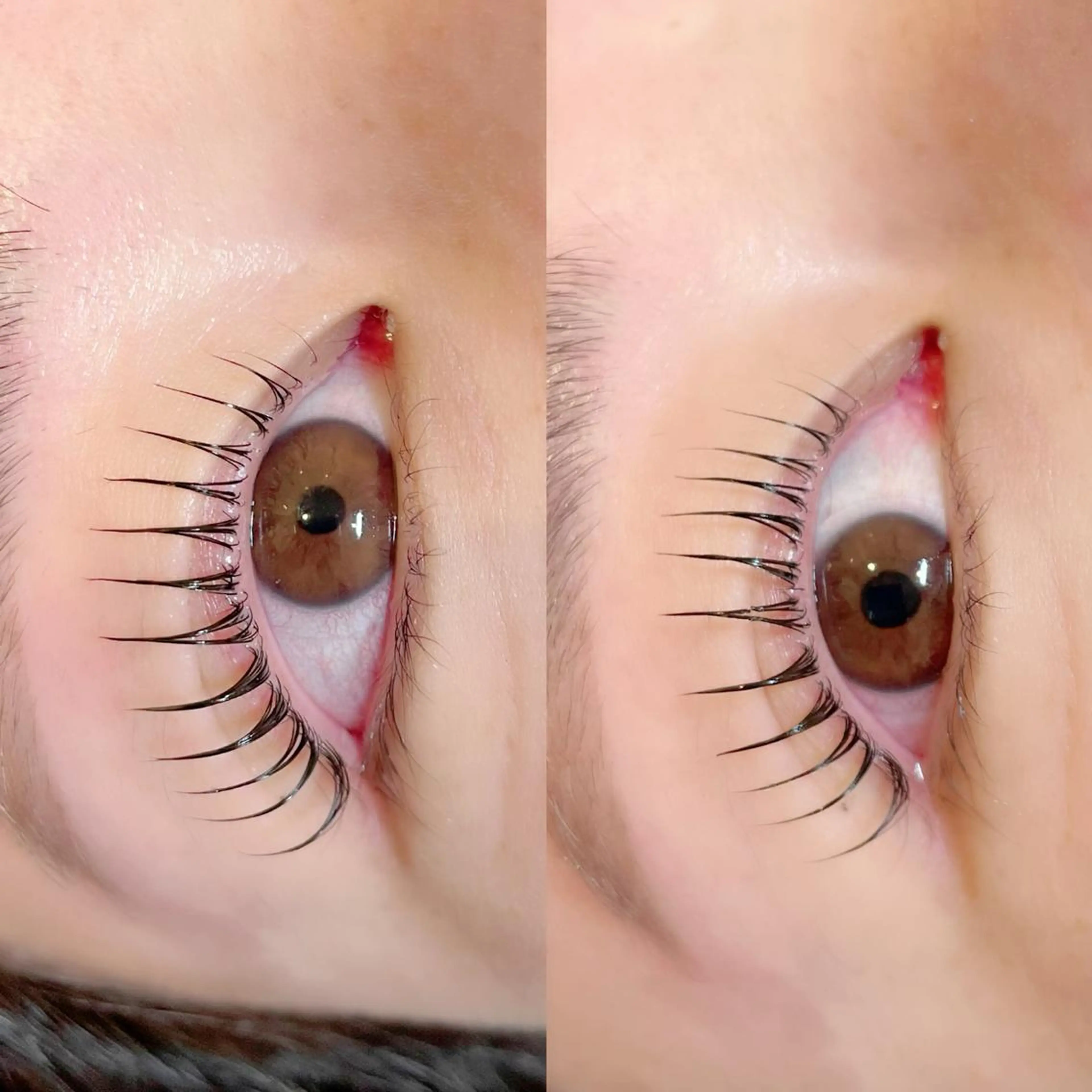 マツエク・マツパ サラバイ ニコットのマツエク・マツパデザイン