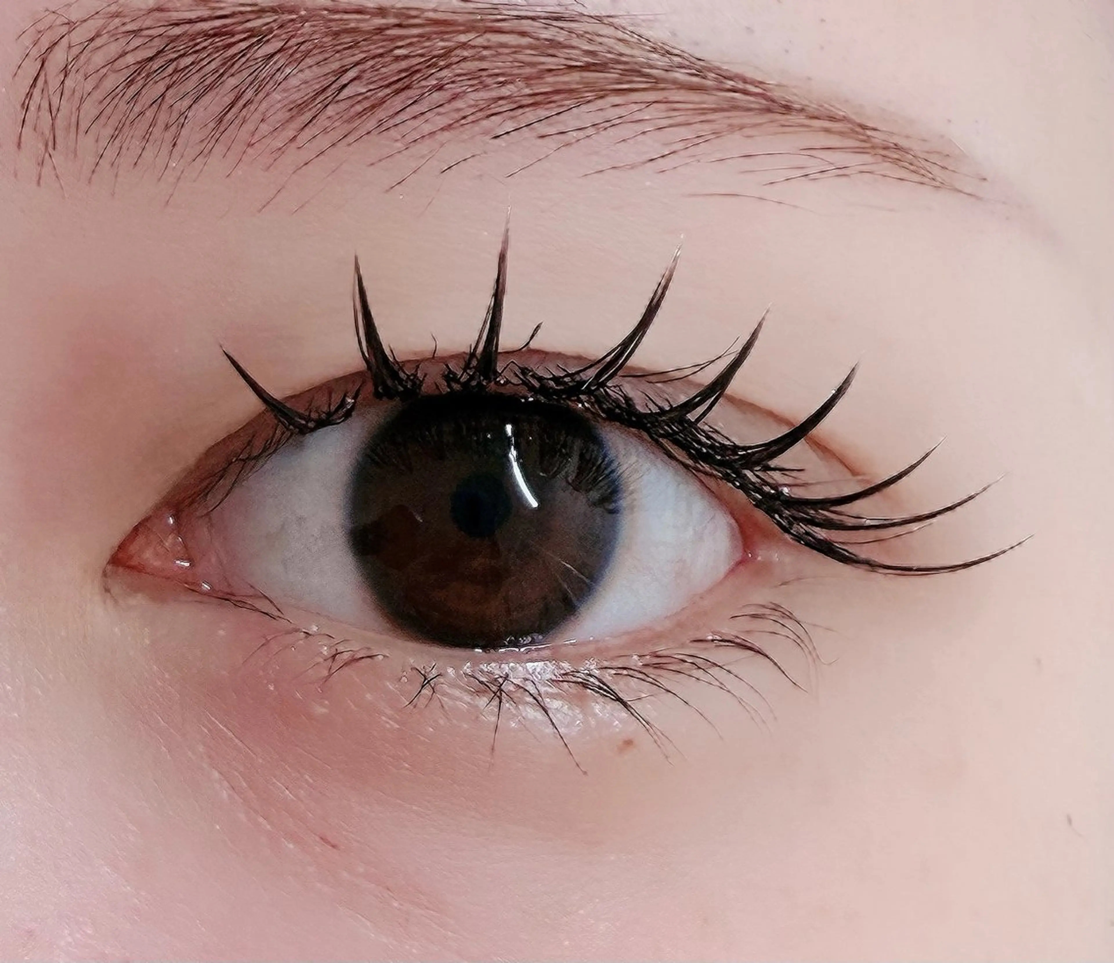 マツエク・マツパ フラットラッシュ マツエク ルチア💞 lucia高田馬場のマツエク・マツパデザイン