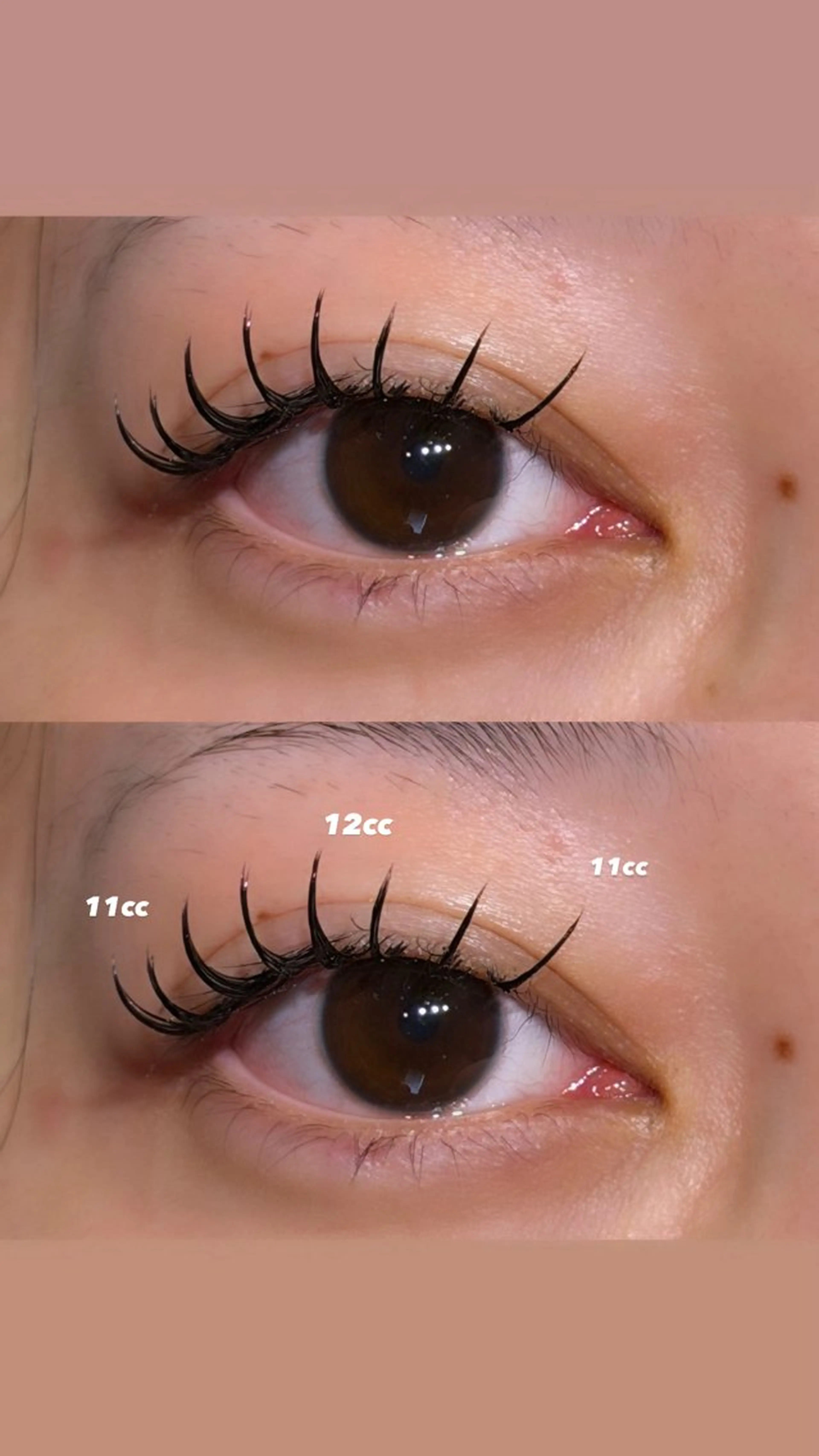 バインドロック80束🫧コーティング付き🎀の写真